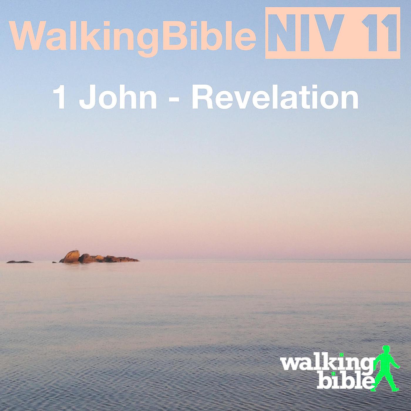 Постер альбома WalkingBible Niv 11 1 John - Revelation