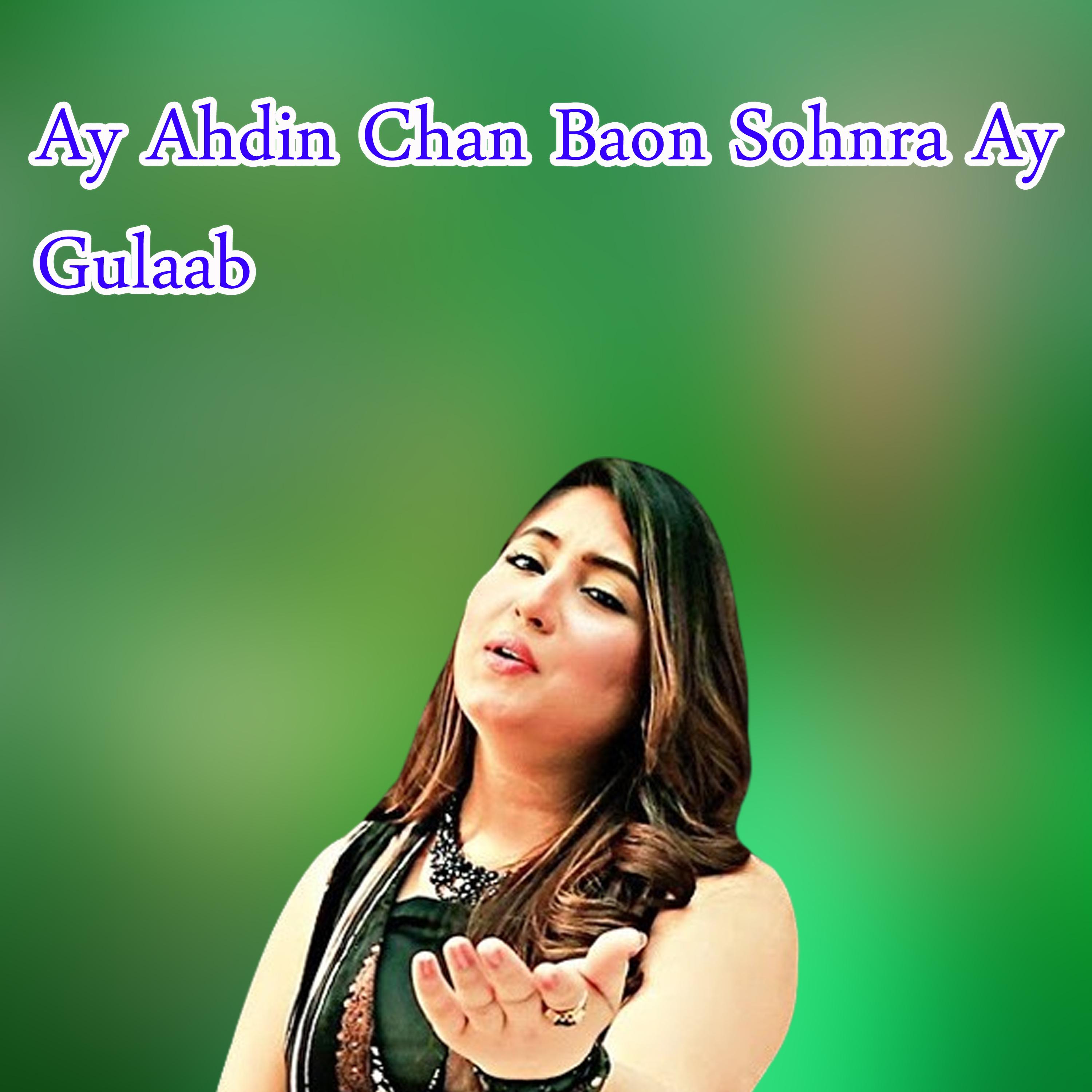 Постер альбома Ay Ahdin Chan Baon Sohnra Ay Gulaab