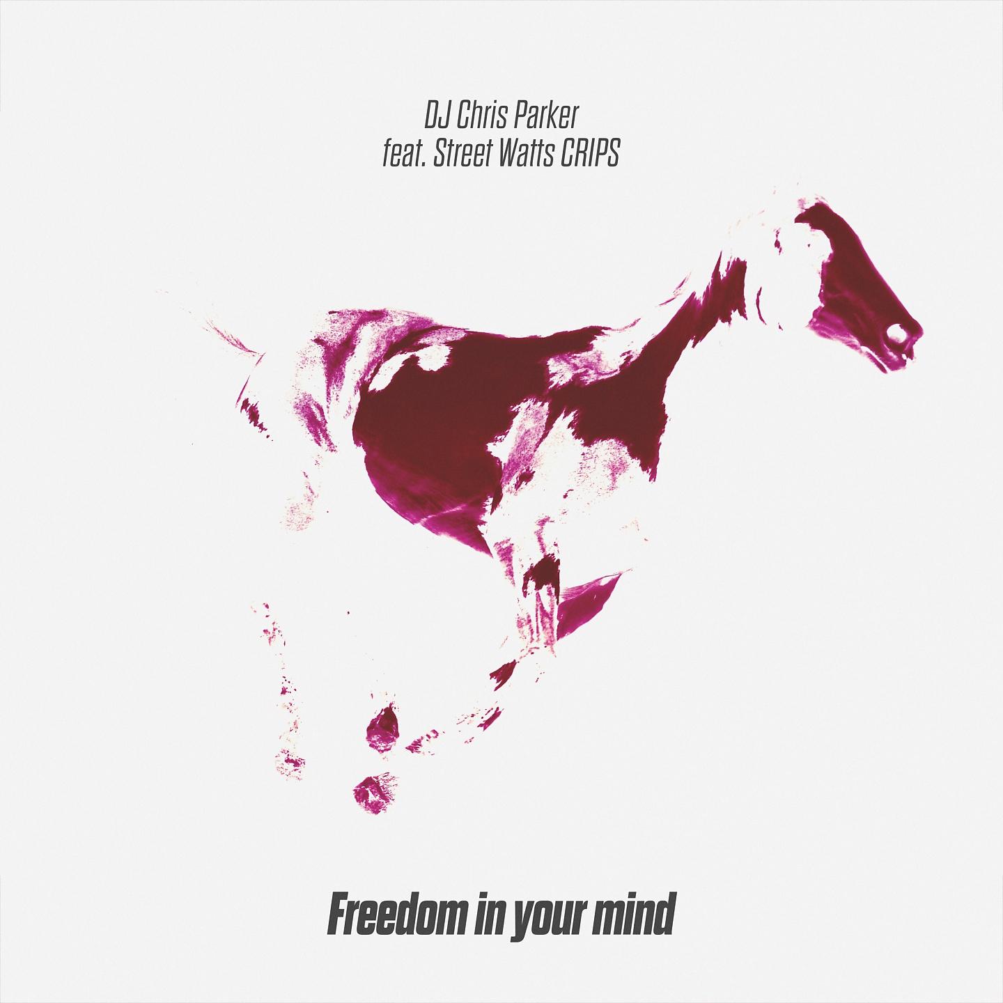 Постер альбома Freedom in Your Mind