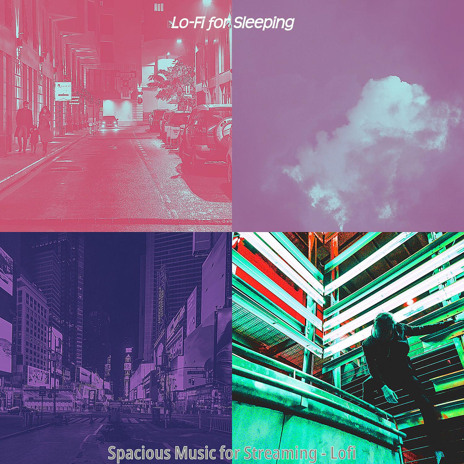 Постер альбома Spacious Music for Streaming - Lofi