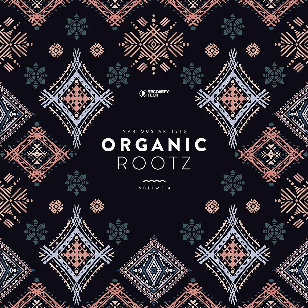 Постер альбома Organic Rootz, Vol. 4