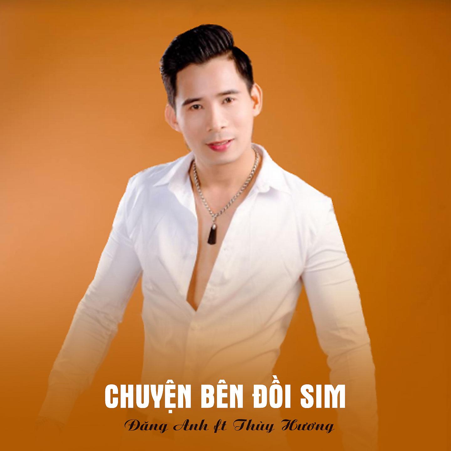 Постер альбома Chuyện Bên Đồi Sim