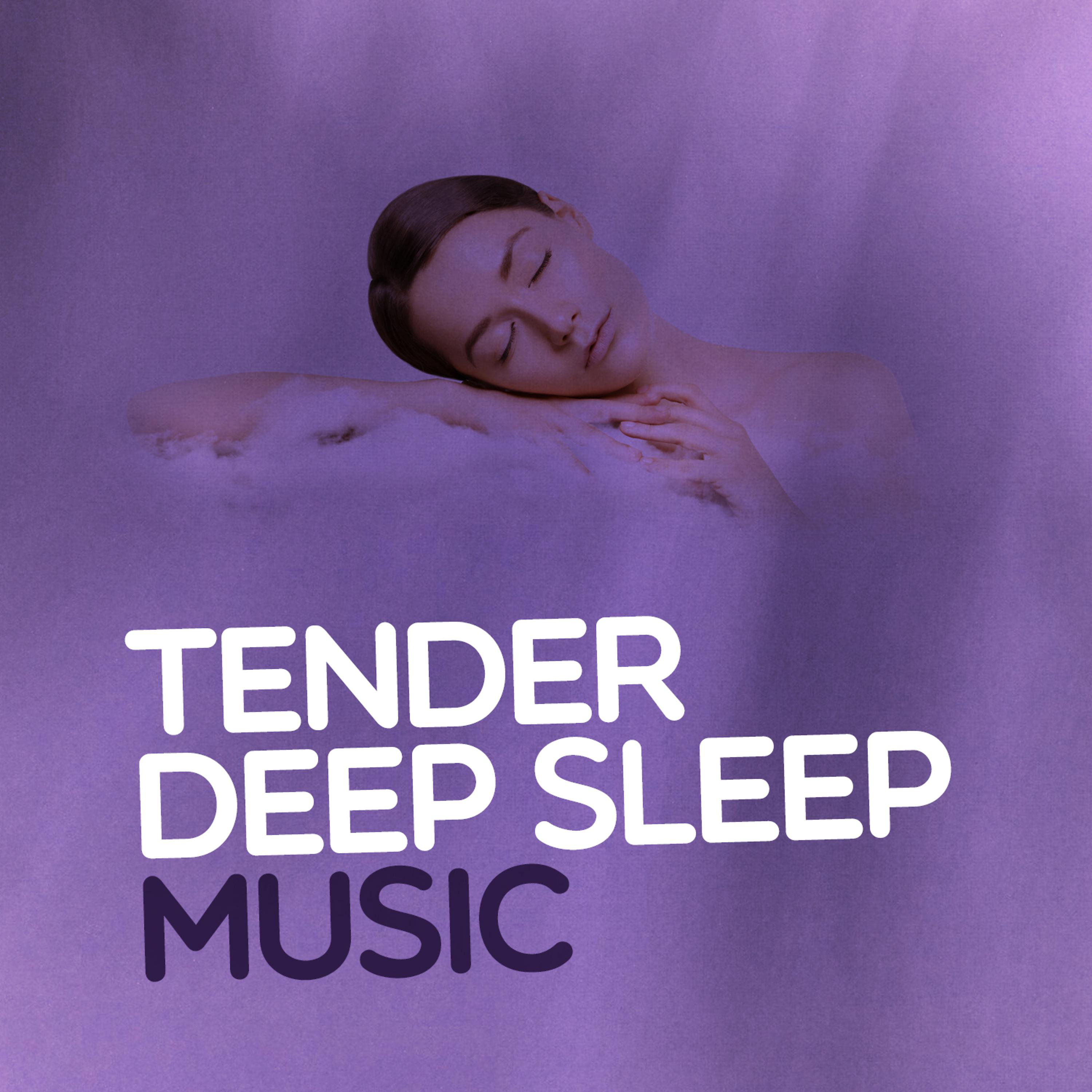 Постер альбома Tender Deep Sleep Music