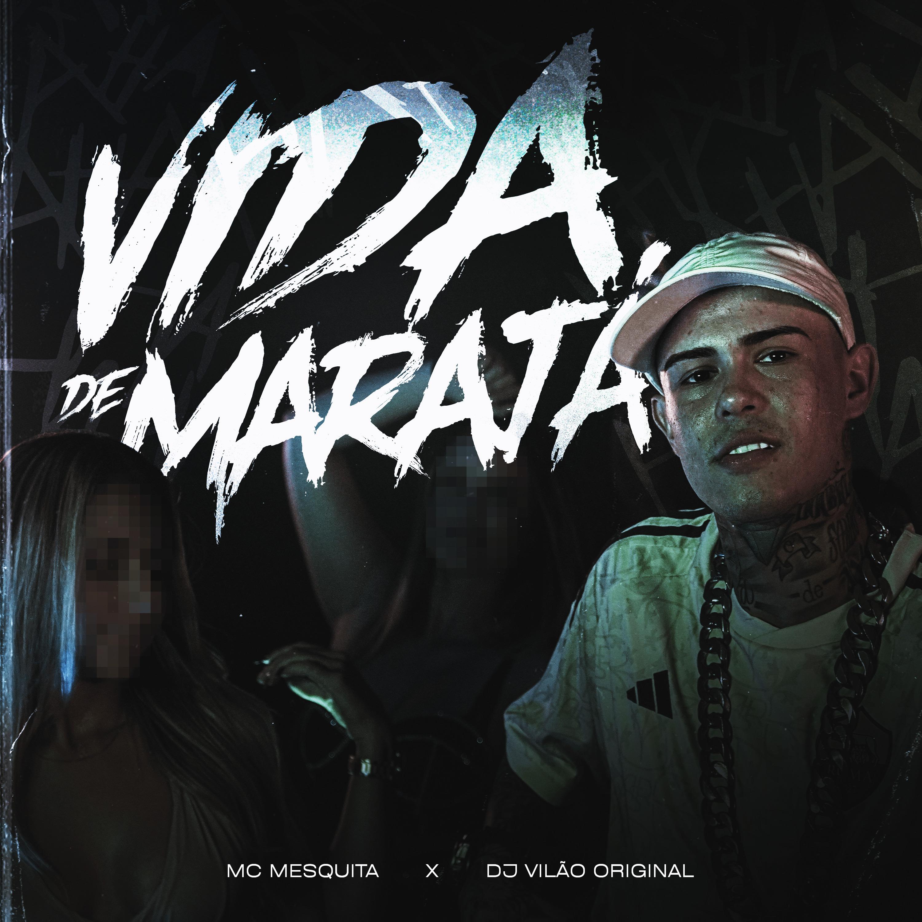 Постер альбома Vida de Marajá