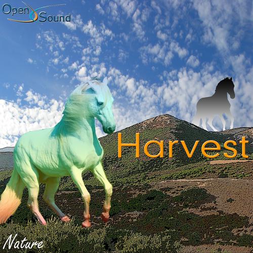 Постер альбома Harvest (Nature)