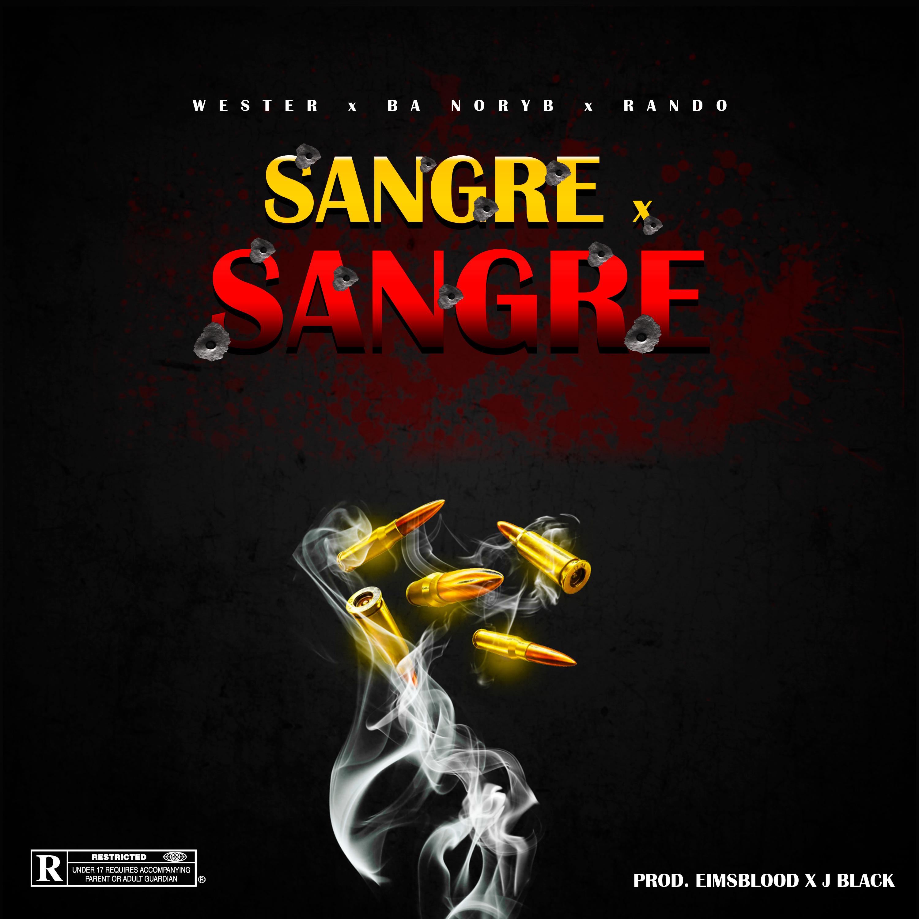 Постер альбома Sangre X Sangre
