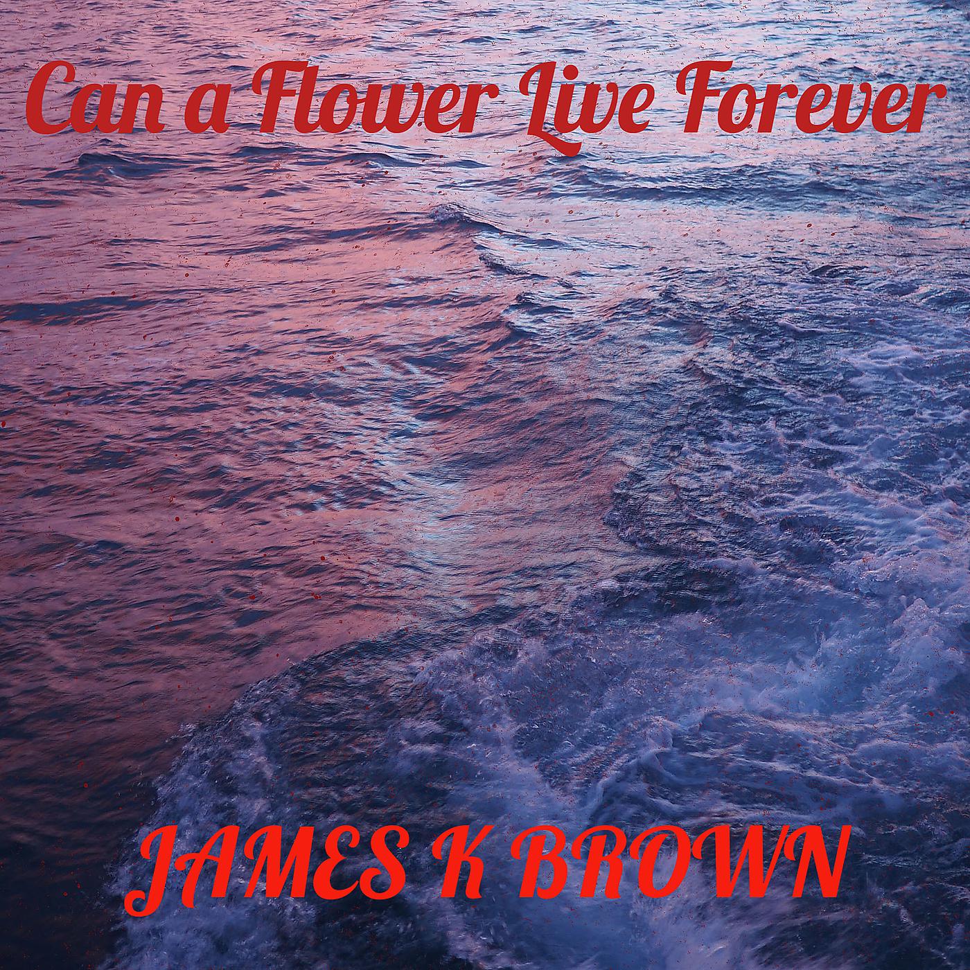 Постер альбома Can a Flower Live Forever