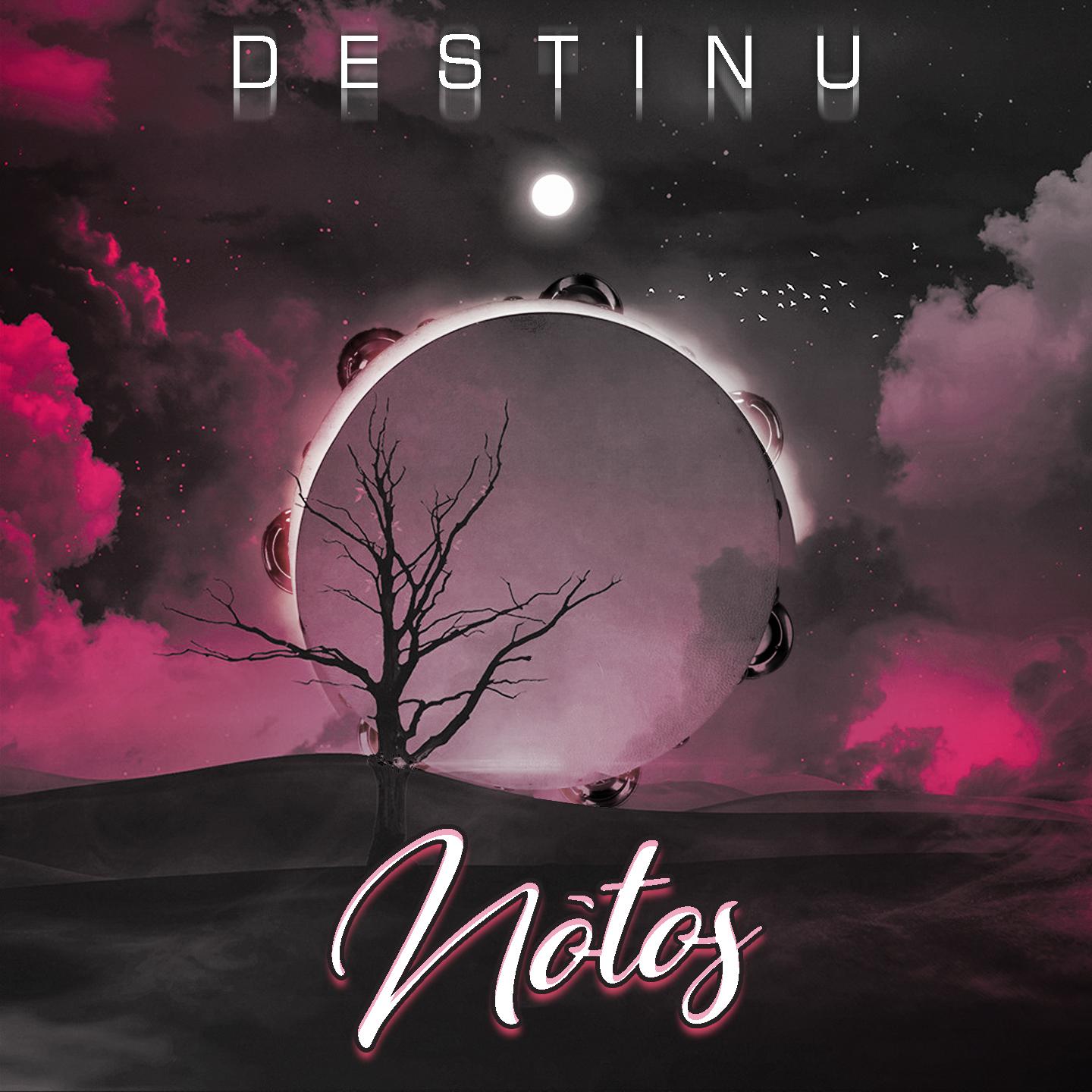Постер альбома Destinu