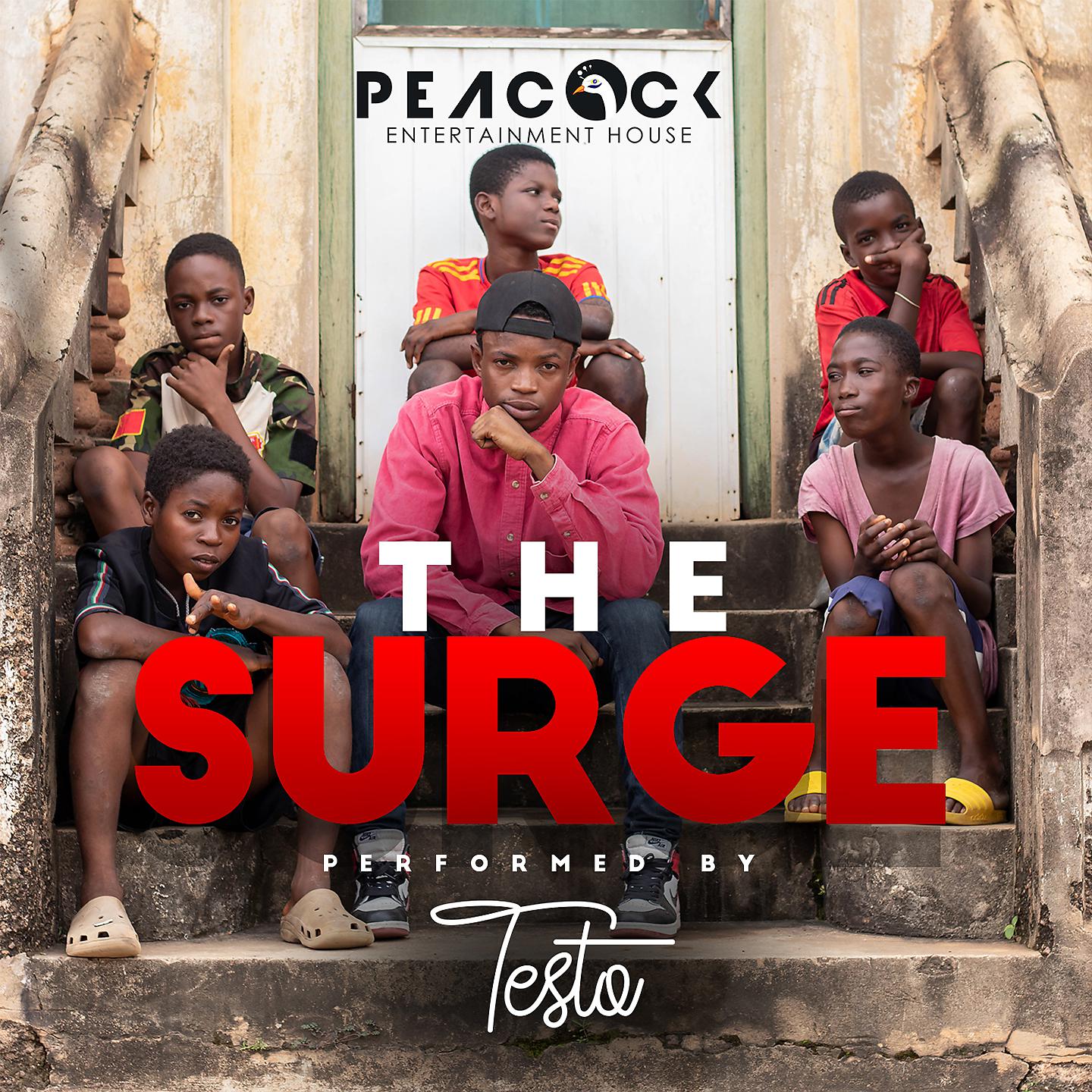 Постер альбома The Surge