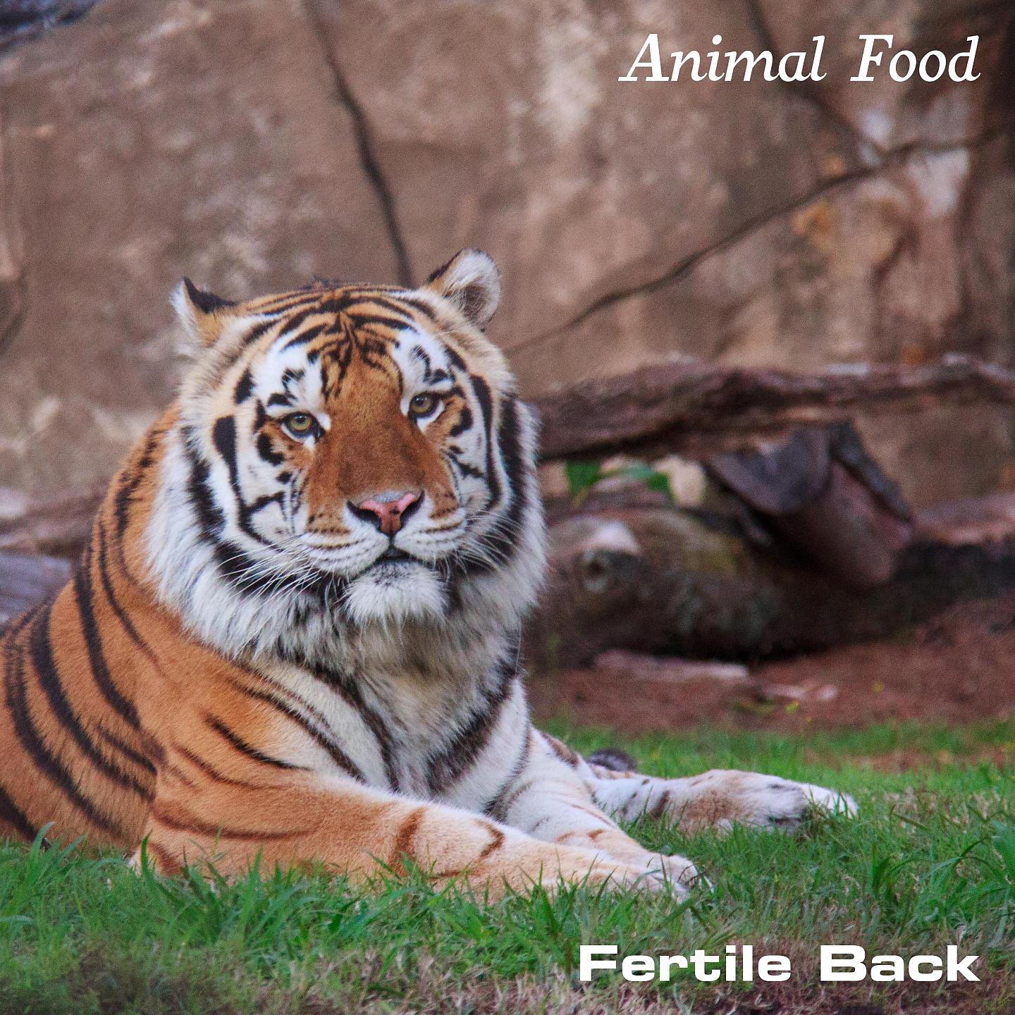 Постер альбома Animal Food