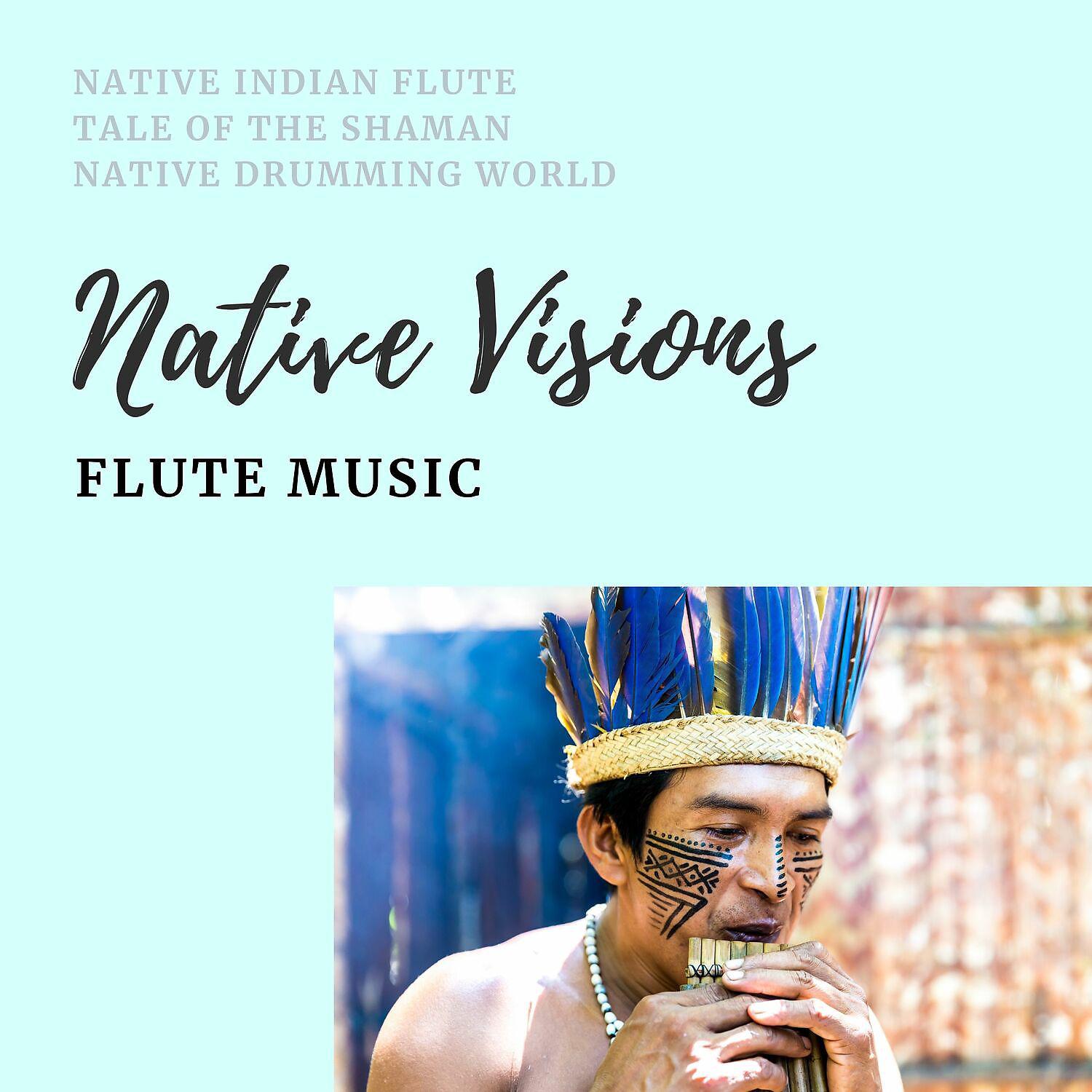 Постер альбома Native Visions, Flute Music