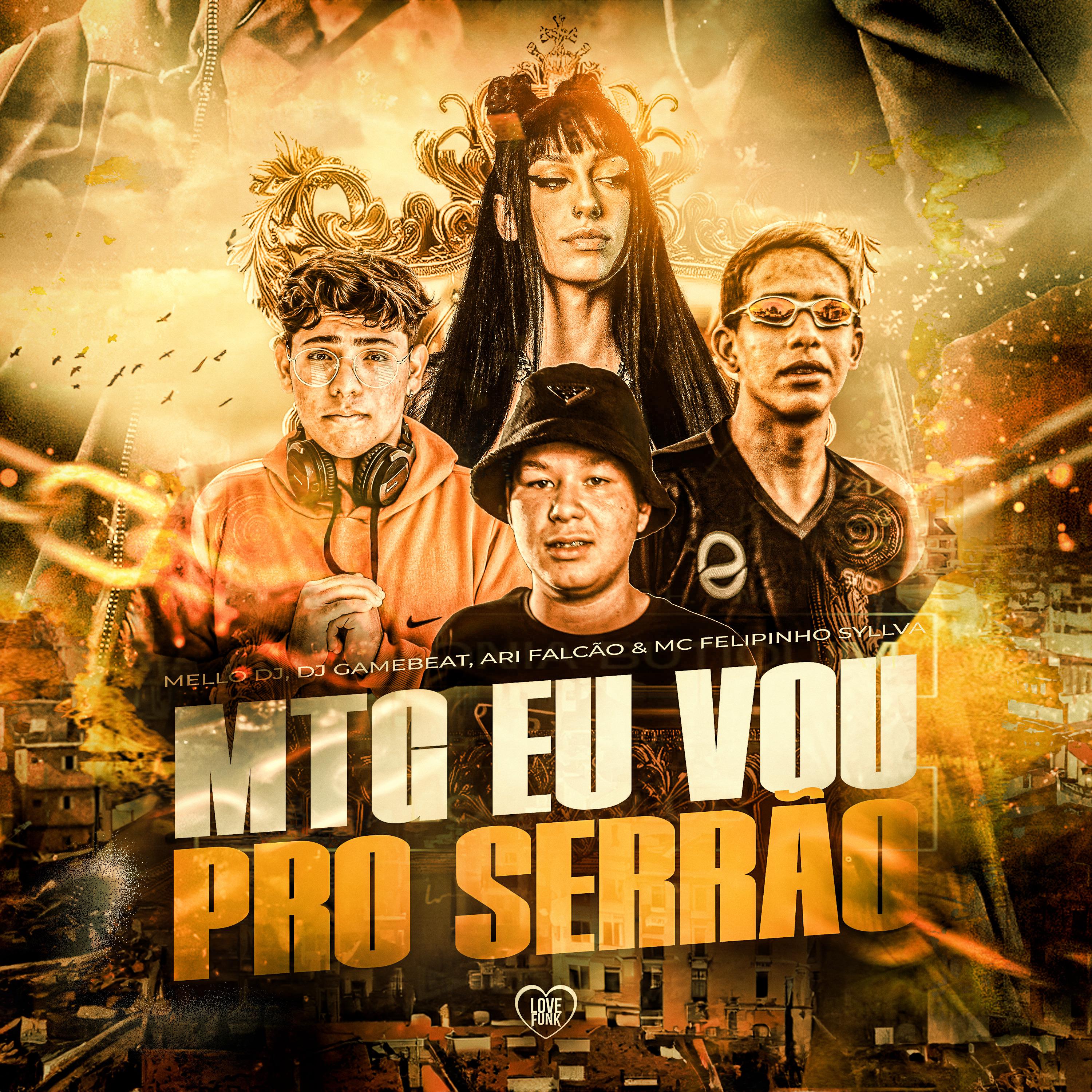 Постер альбома Mtg Eu Vou pro Serrão