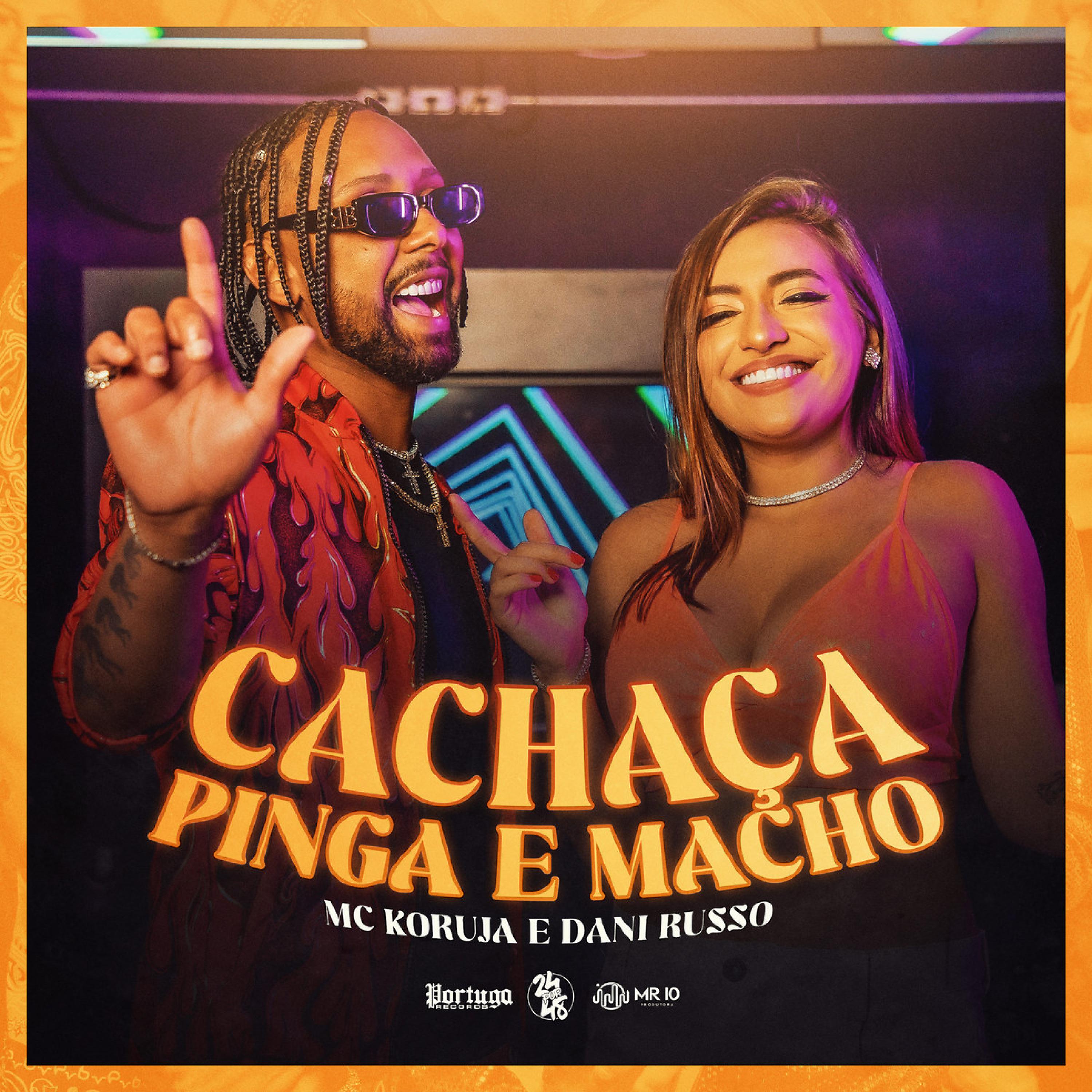 Постер альбома Cachaça Pinga e Macho