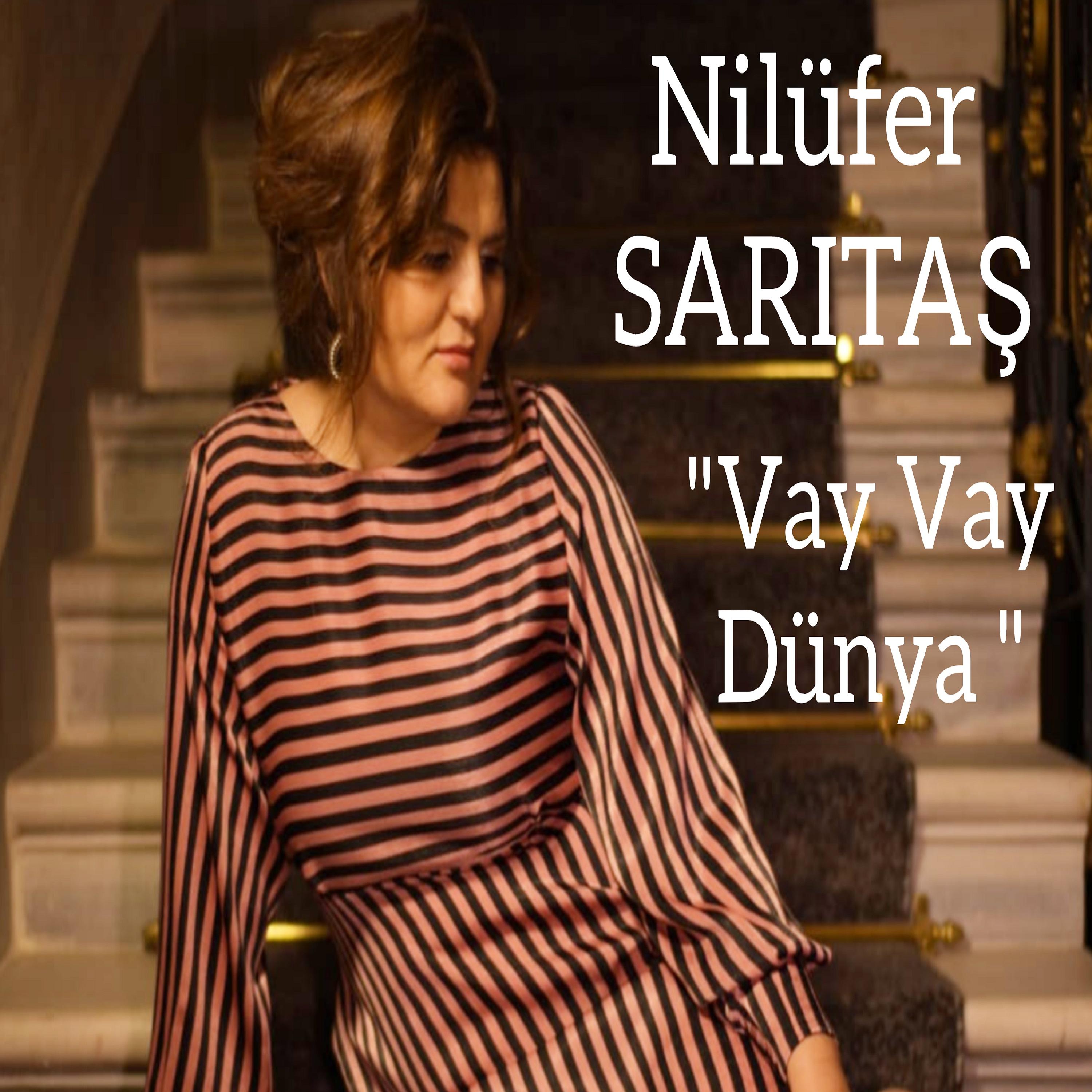 Постер альбома Vay Vay Dünya