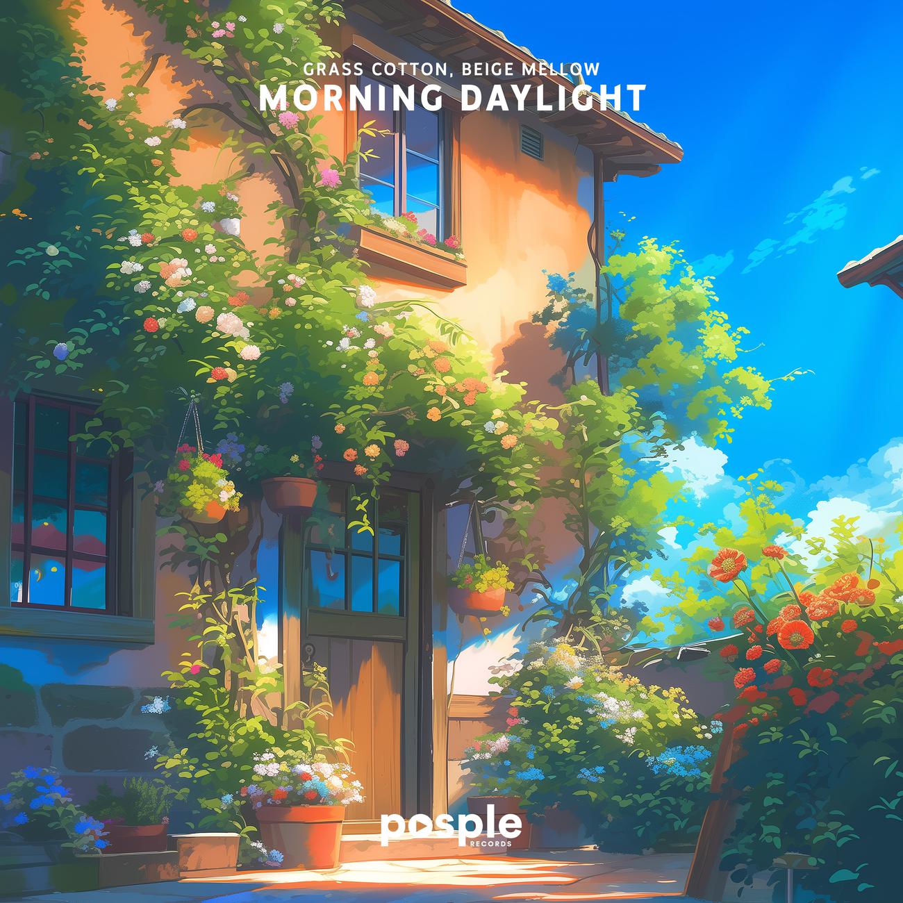 Постер альбома Morning Daylight