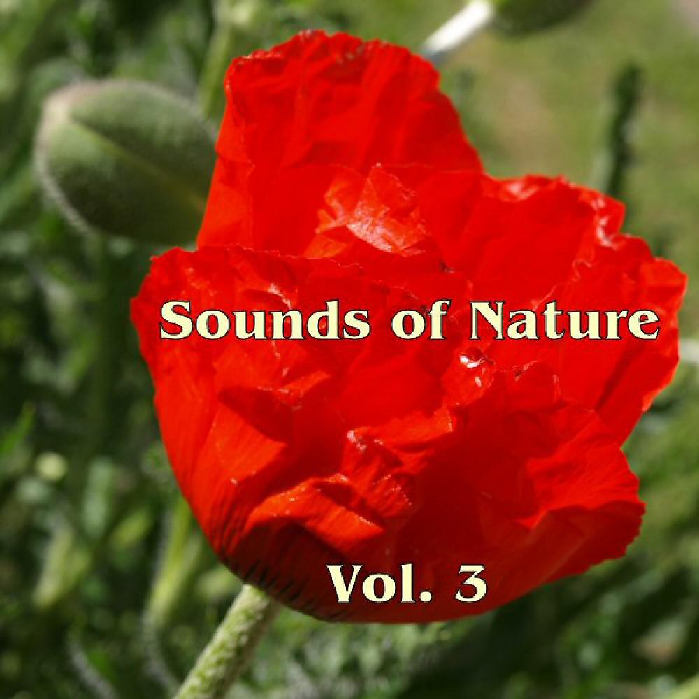 Постер альбома Sounds Of Nature Vol. 3