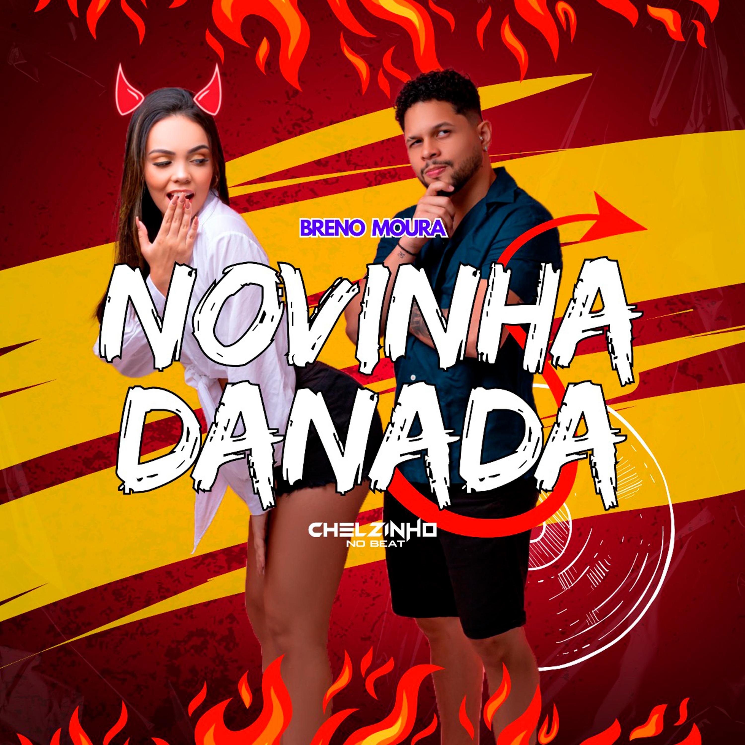 Постер альбома Novinha Danada
