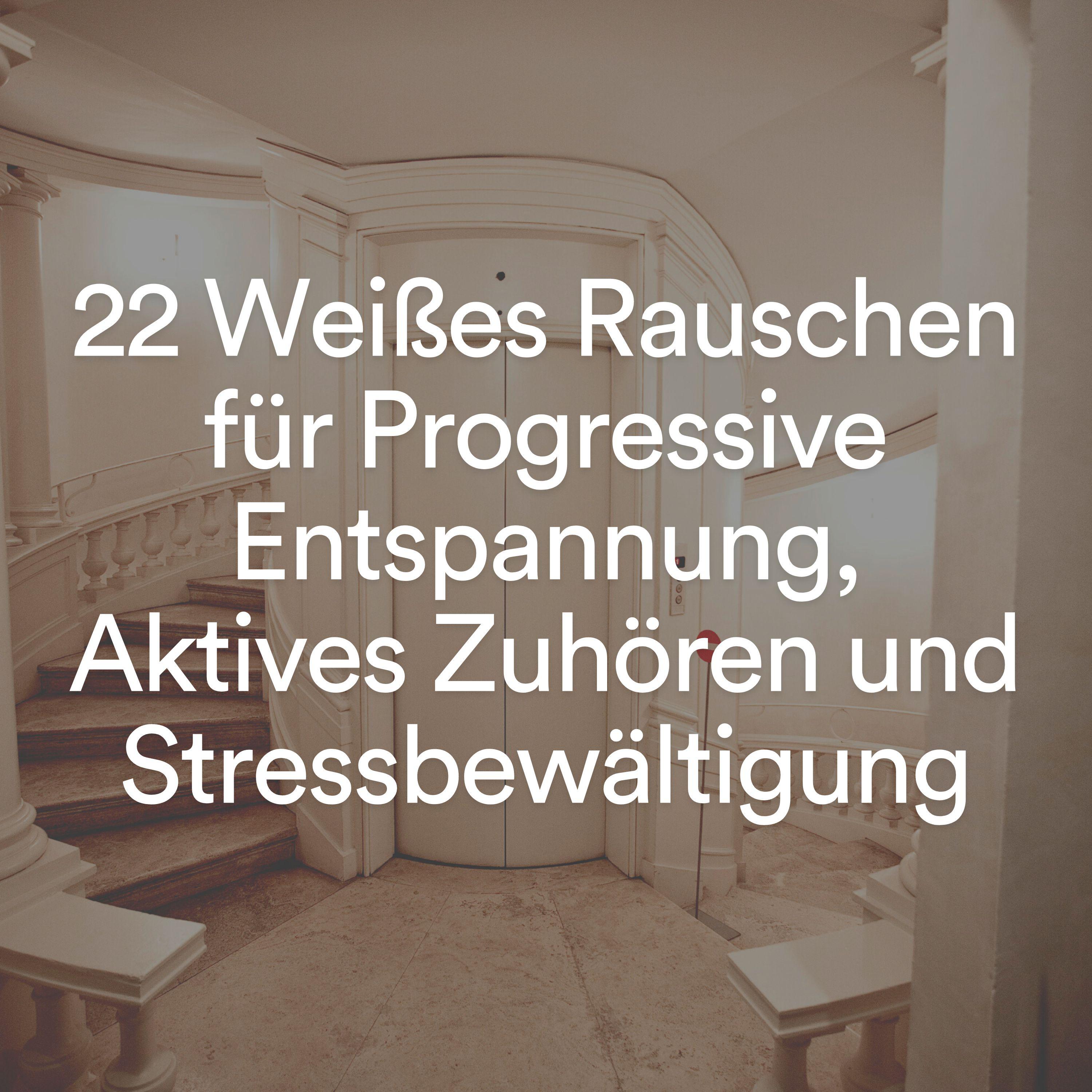 Постер альбома 22 Weißes Rauschen für Progressive Entspannung, Aktives Zuhören und Stressbewältigung