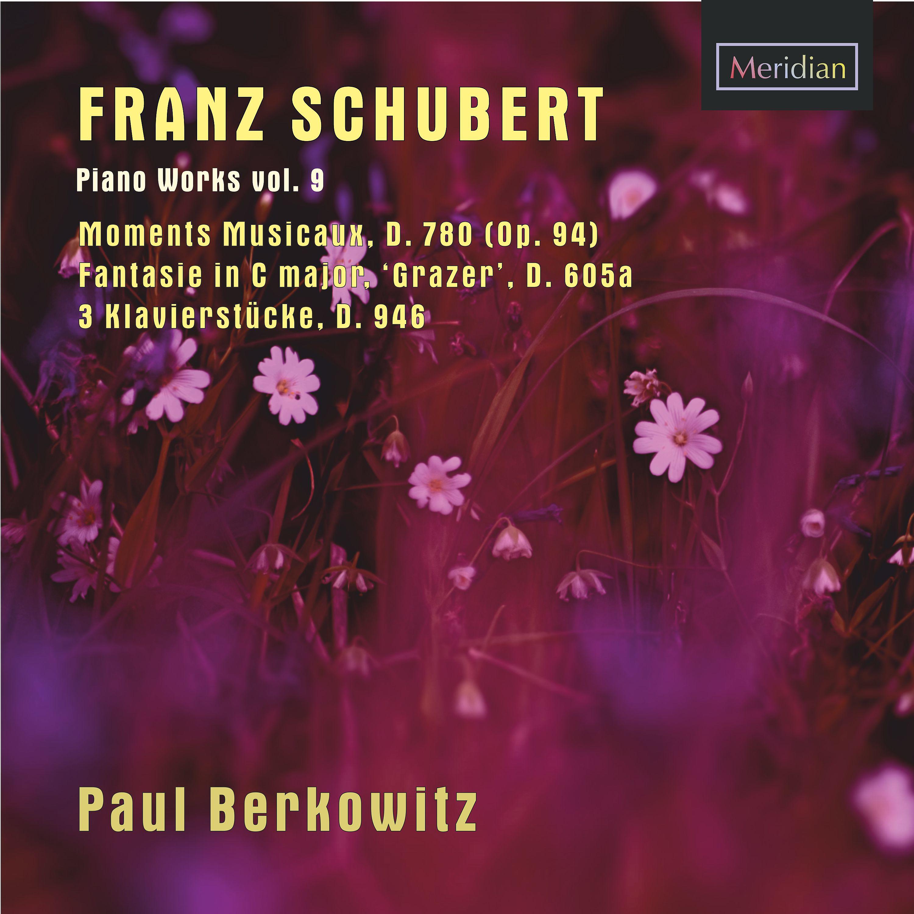 Постер альбома Franz Schubert: Piano Works, Vol. 9