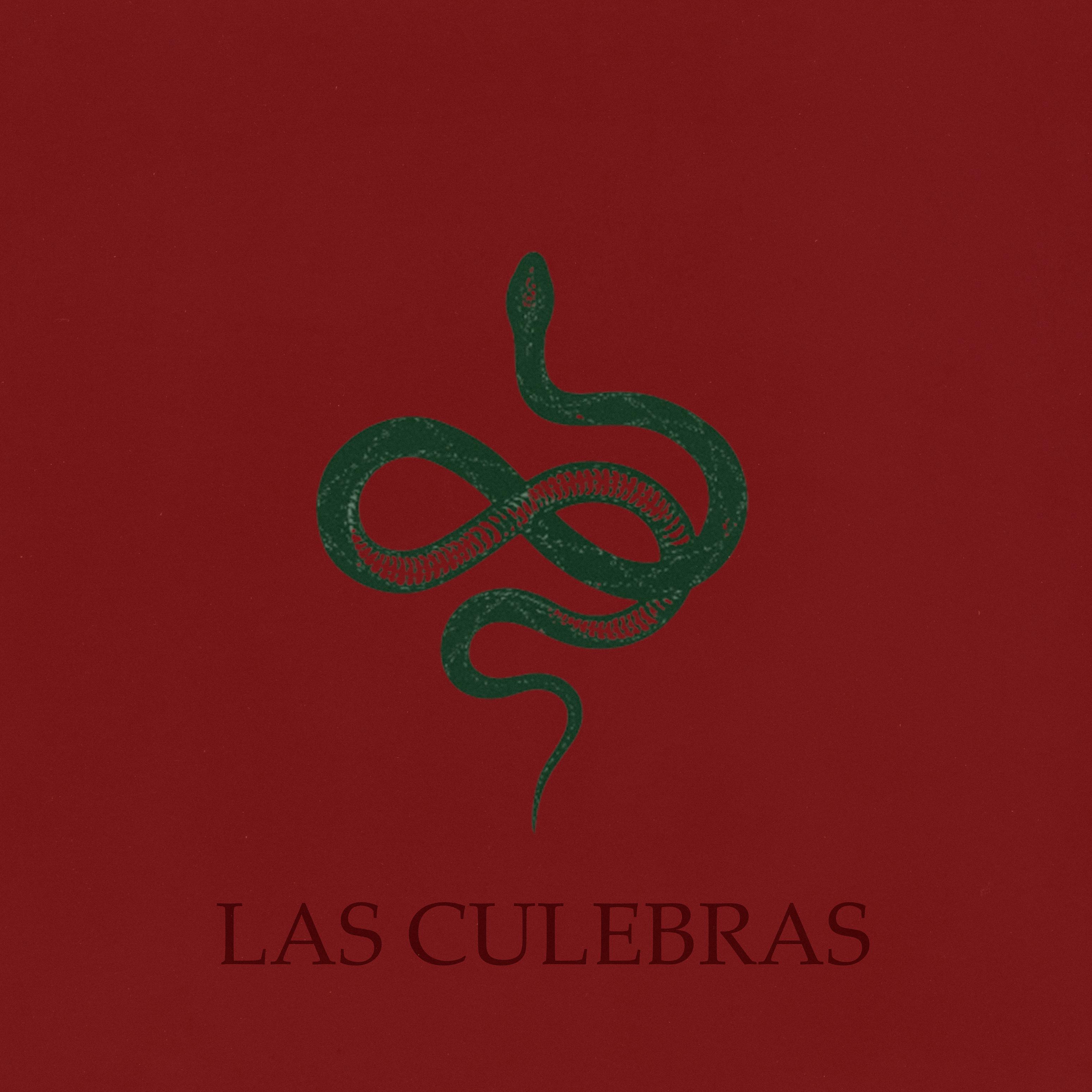 Постер альбома Las Culebras