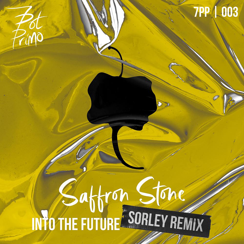 Постер альбома Into The Future (Sorley Remix)