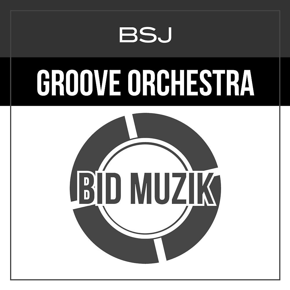 Постер альбома Groove Orchestra
