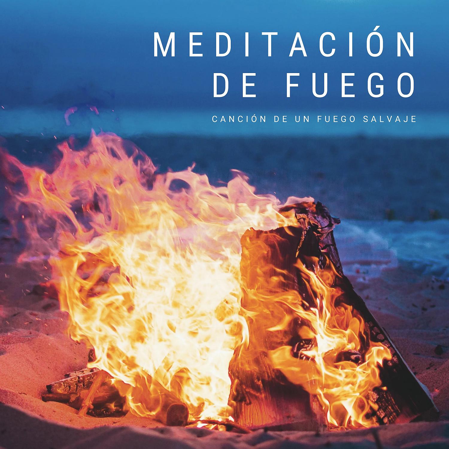 Постер альбома Meditación De Fuego: Canción De Un Fuego Salvaje