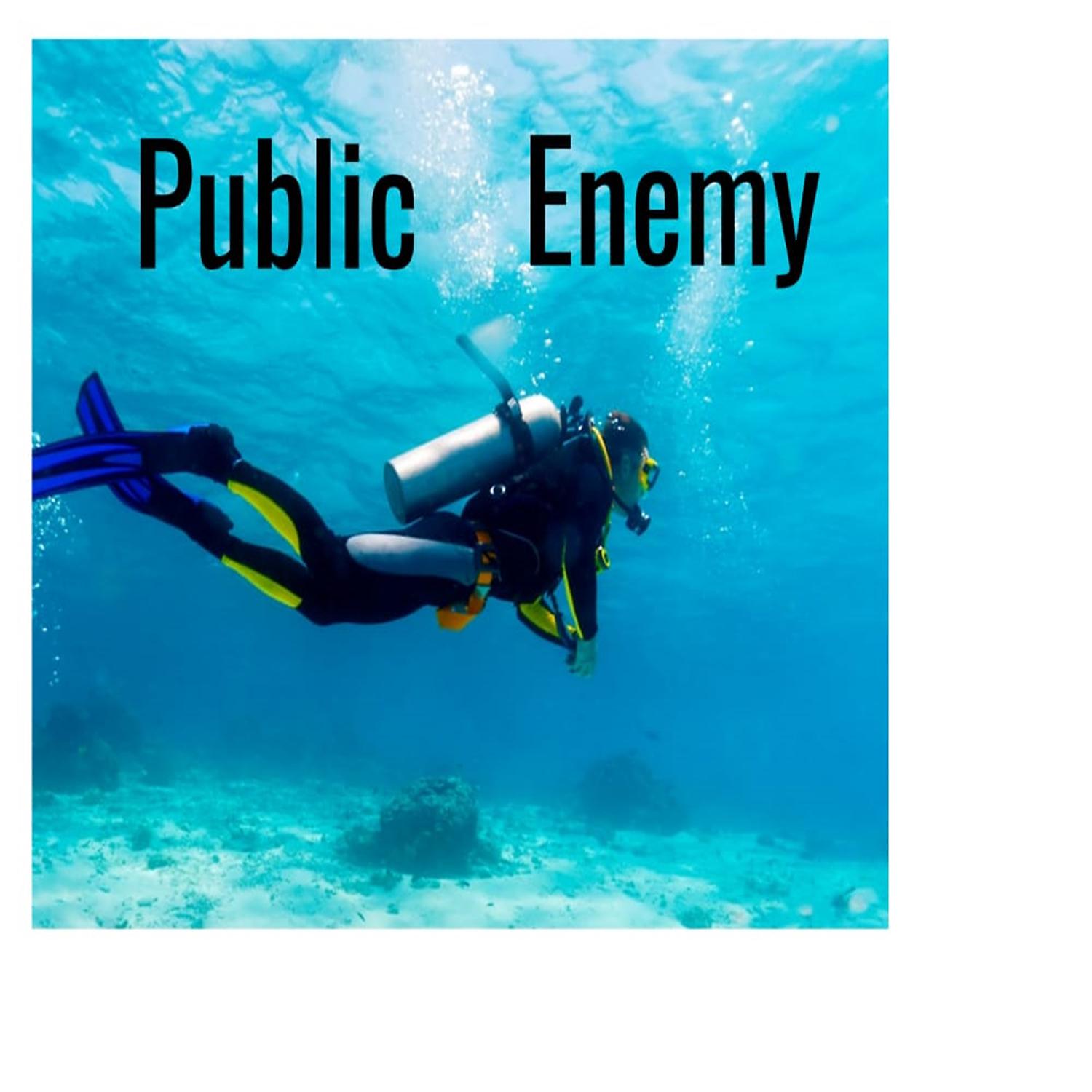 Постер альбома public Enemy
