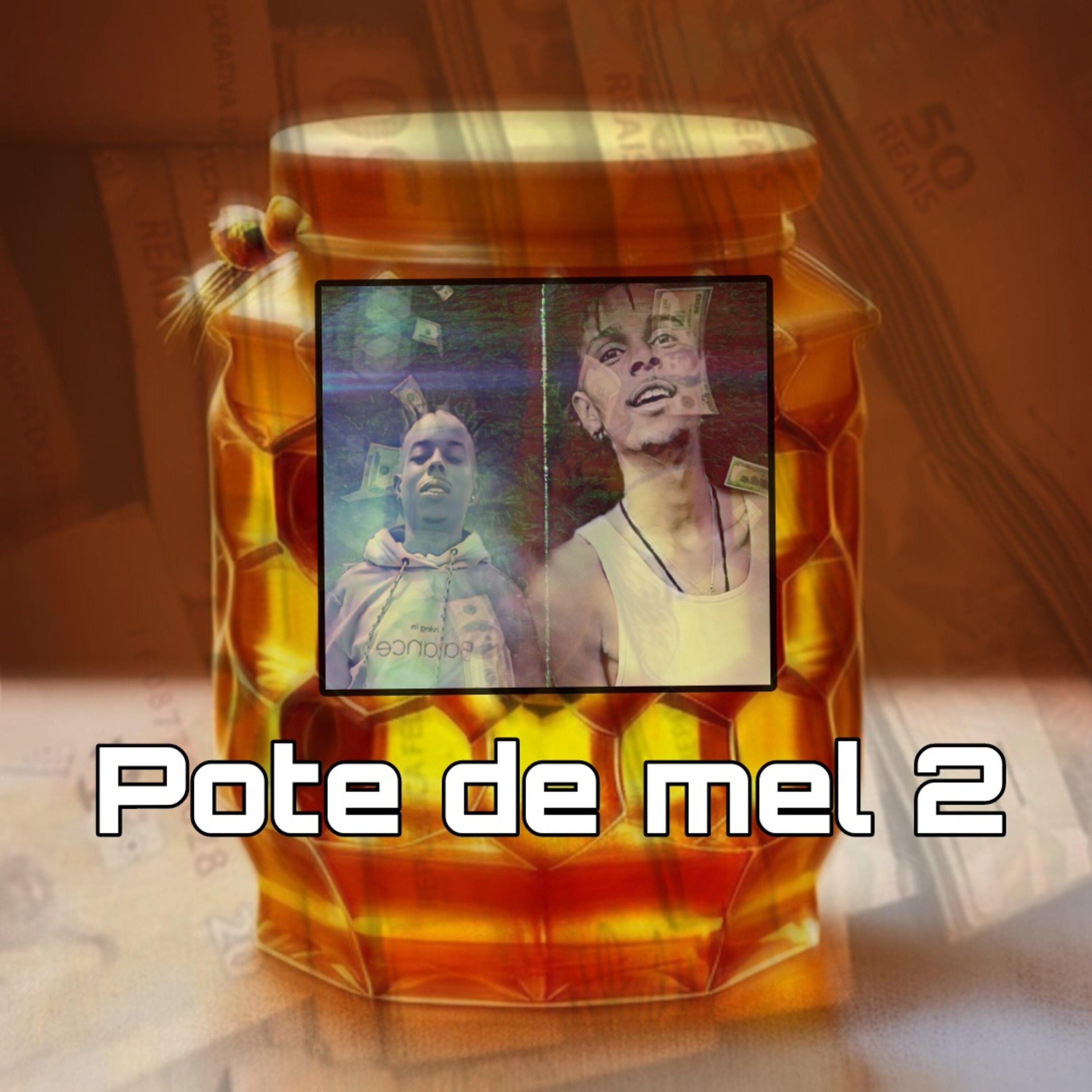 Постер альбома Pote de Mel 2