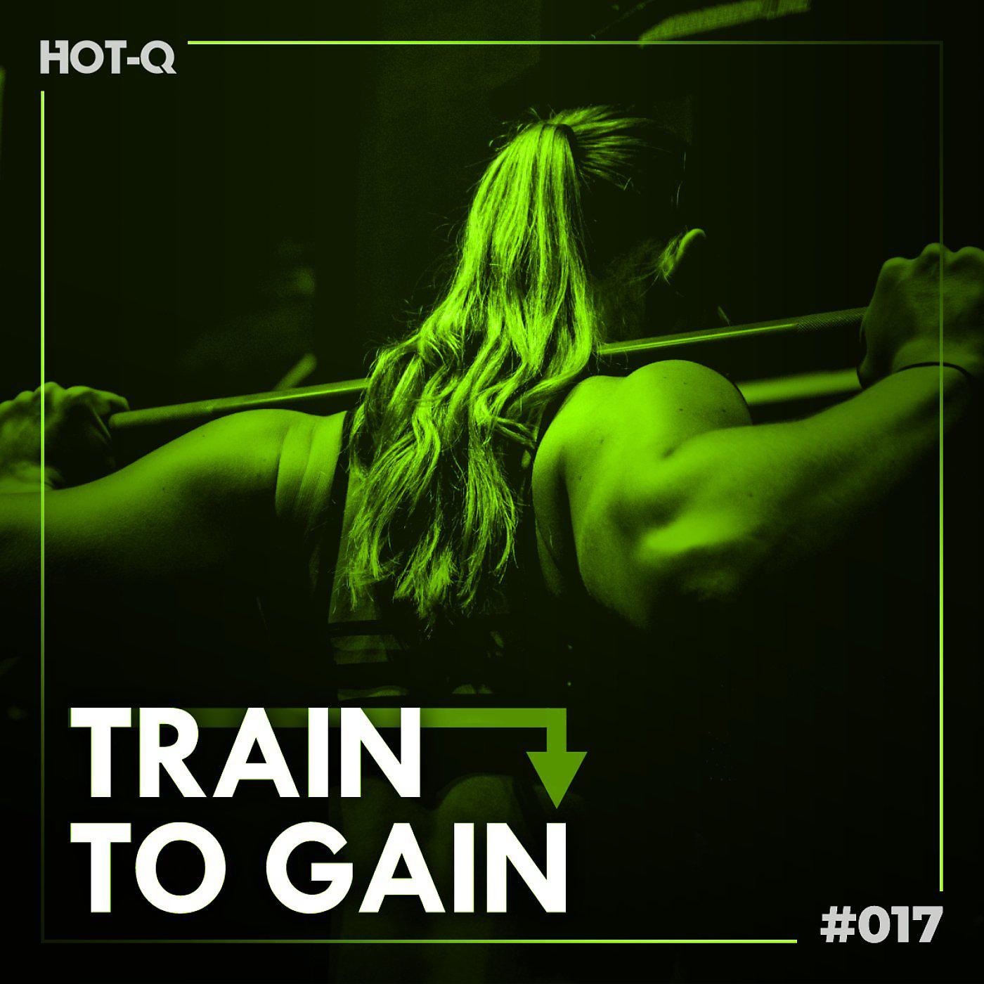 Постер альбома Train To Gain 017