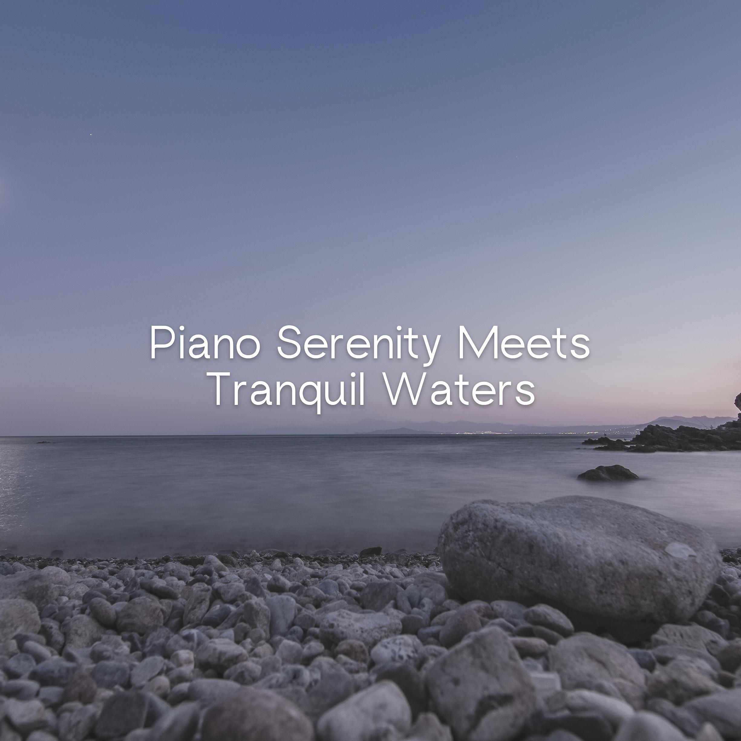 Постер альбома Piano Serenity Meets Tranquil Waters