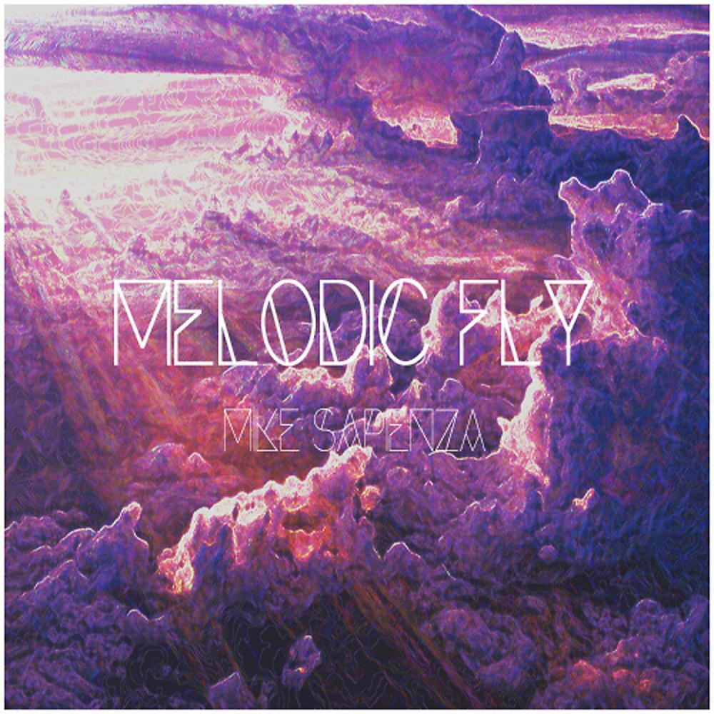 Постер альбома Melodic Fly