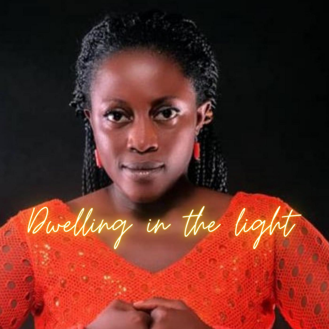 Постер альбома Dwelling in the Light
