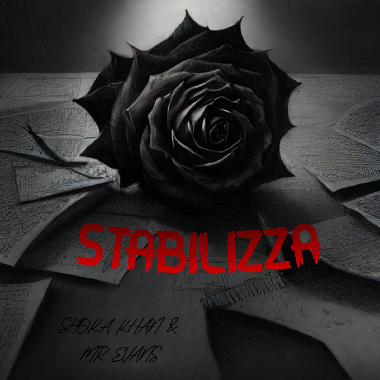 Постер альбома Stabilizza