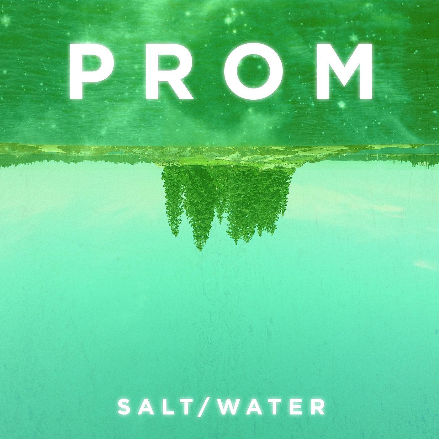 Постер альбома Salt / Water