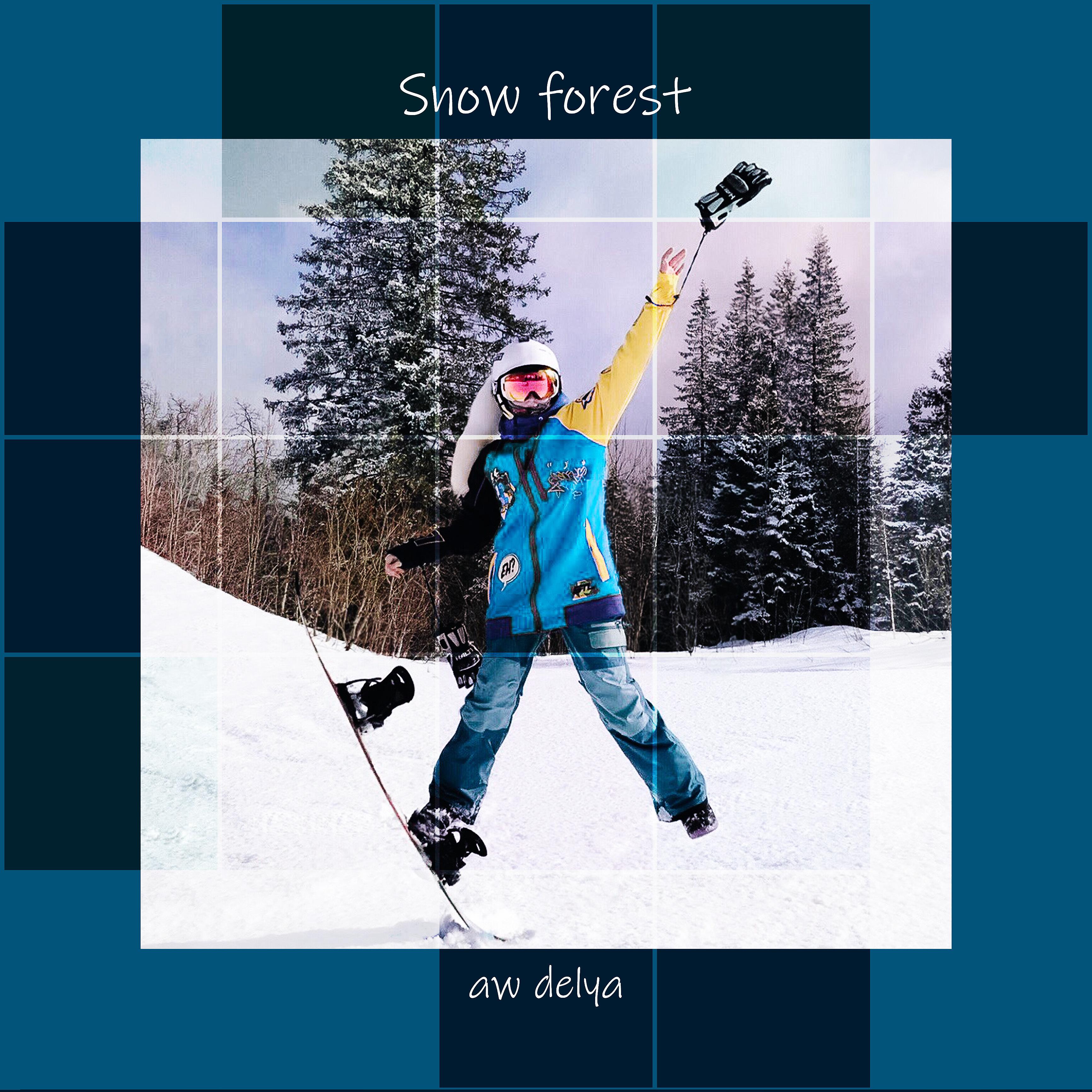 Постер альбома Snow Forest