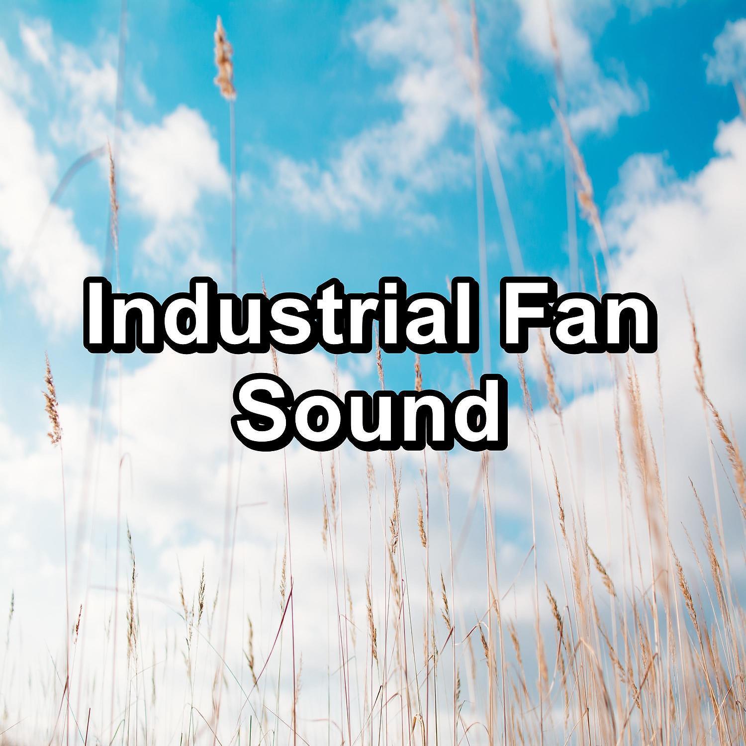 Постер альбома Industrial Fan Sound