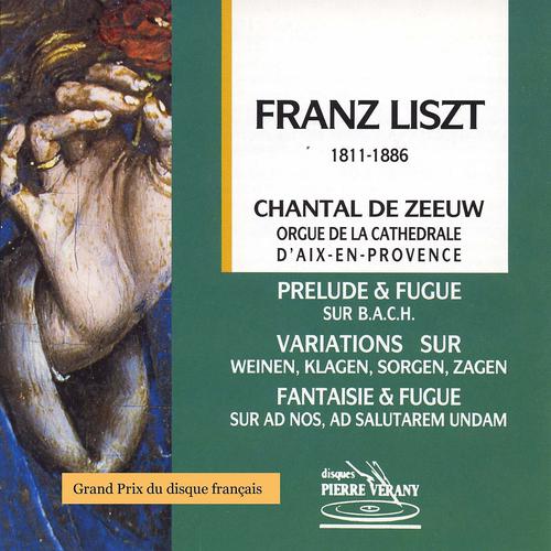Постер альбома Liszt : Œvres pour orgue