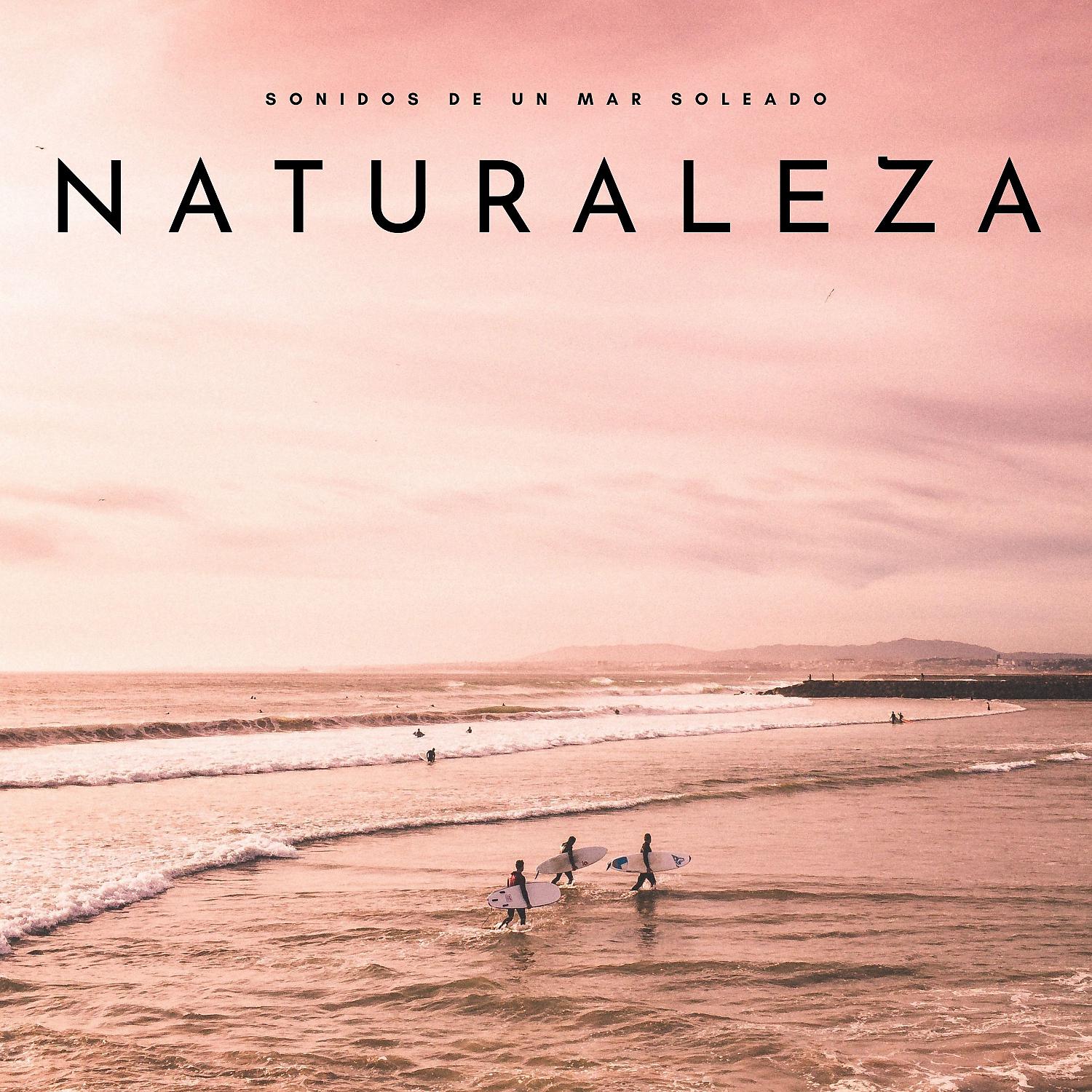 Постер альбома Naturaleza: Sonidos De Un Mar Soleado
