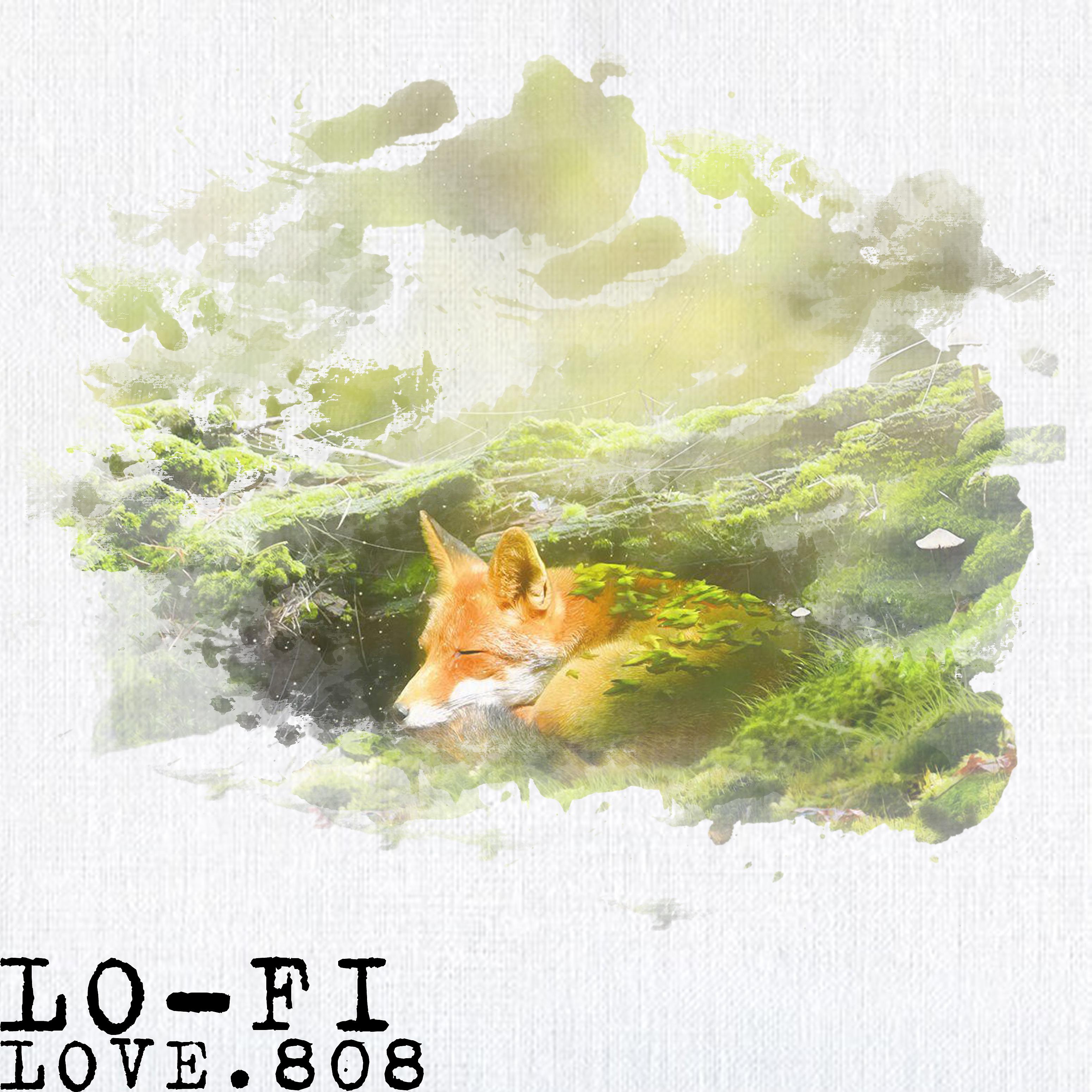 Постер альбома Lo-fi