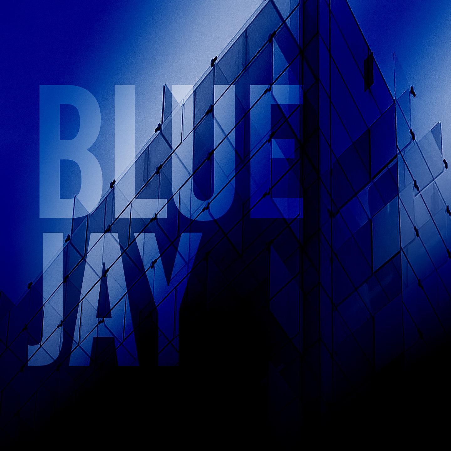 Постер альбома Blue Jay