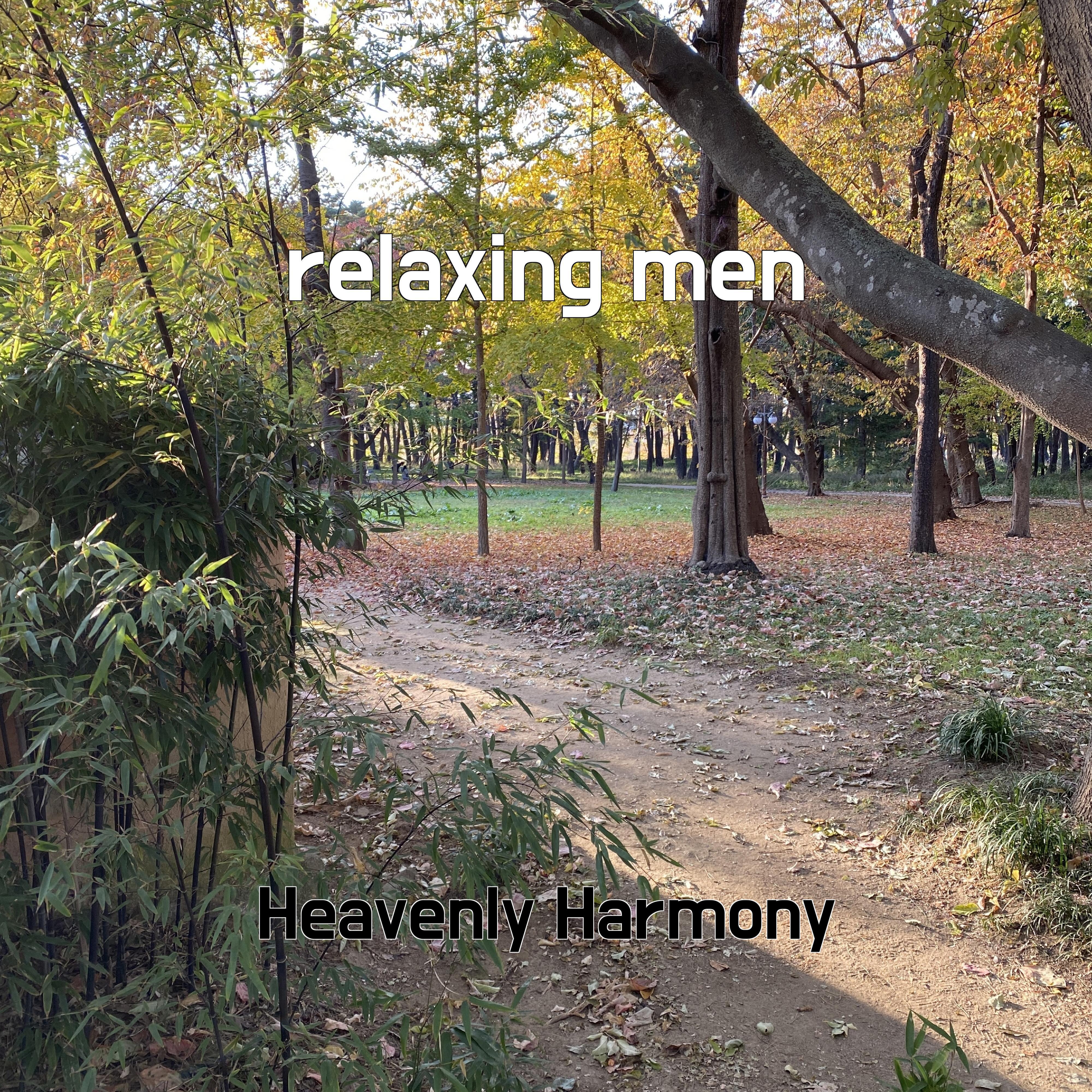 Постер альбома relaxing men