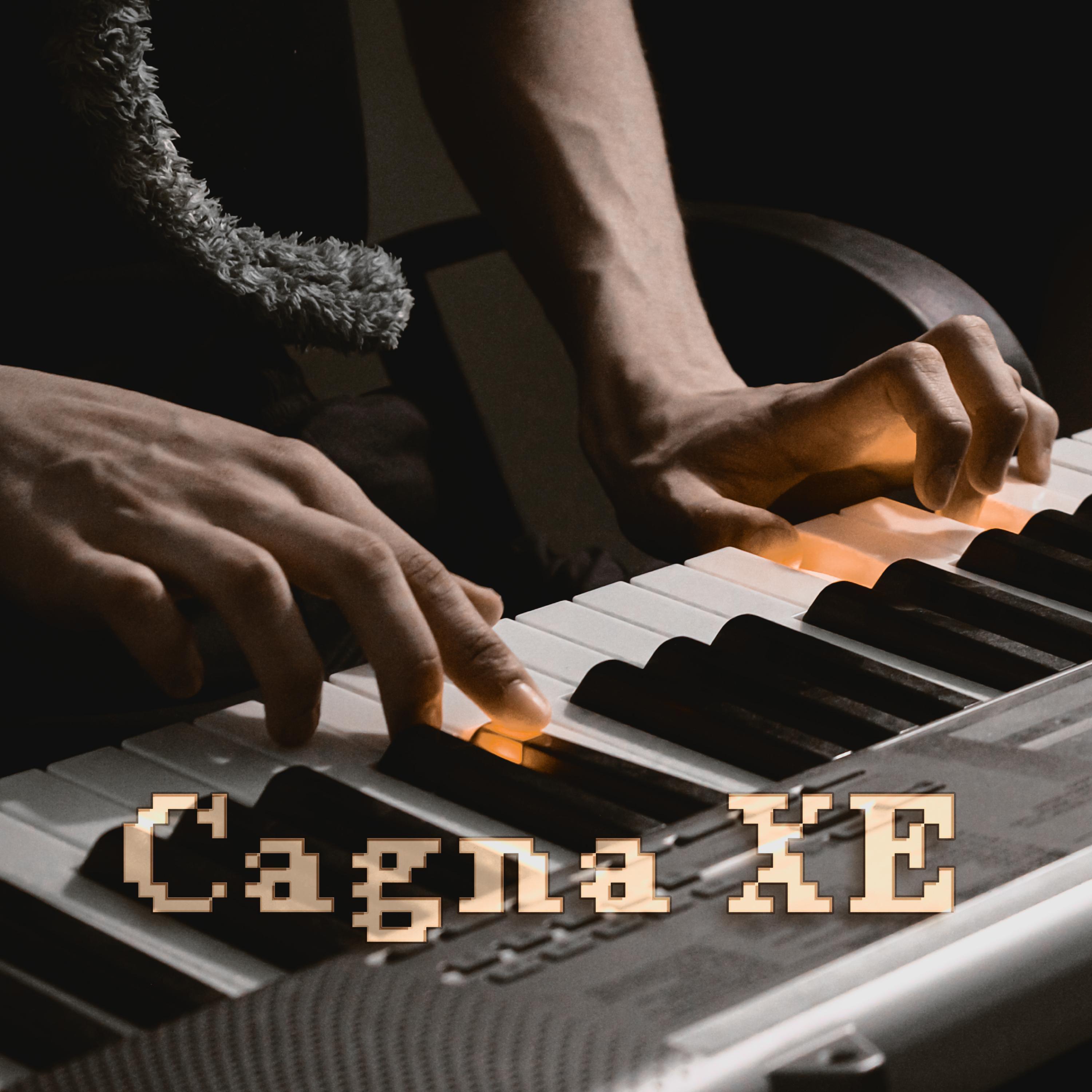 Постер альбома Cagna XE