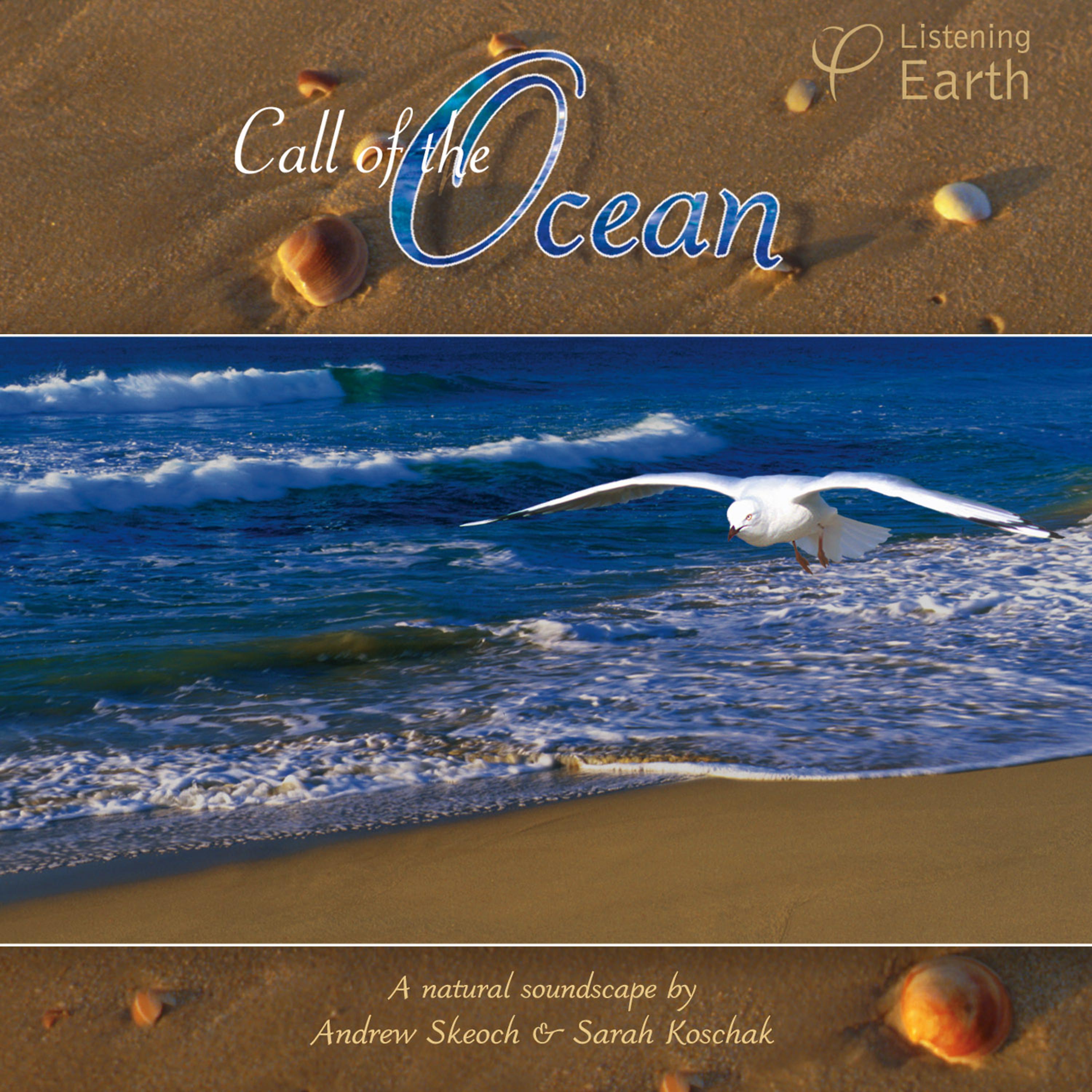 Постер альбома Call of the Ocean