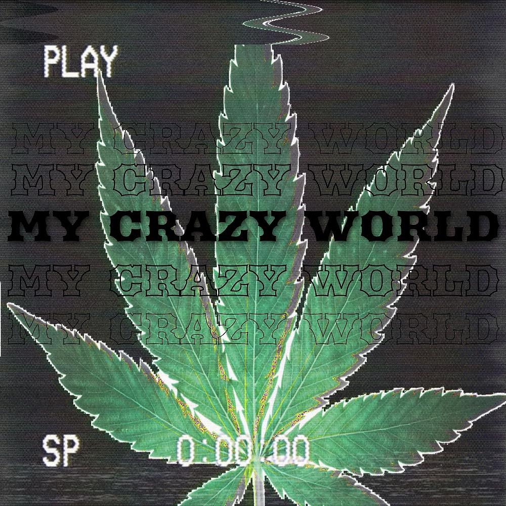 Постер альбома My Crazy World