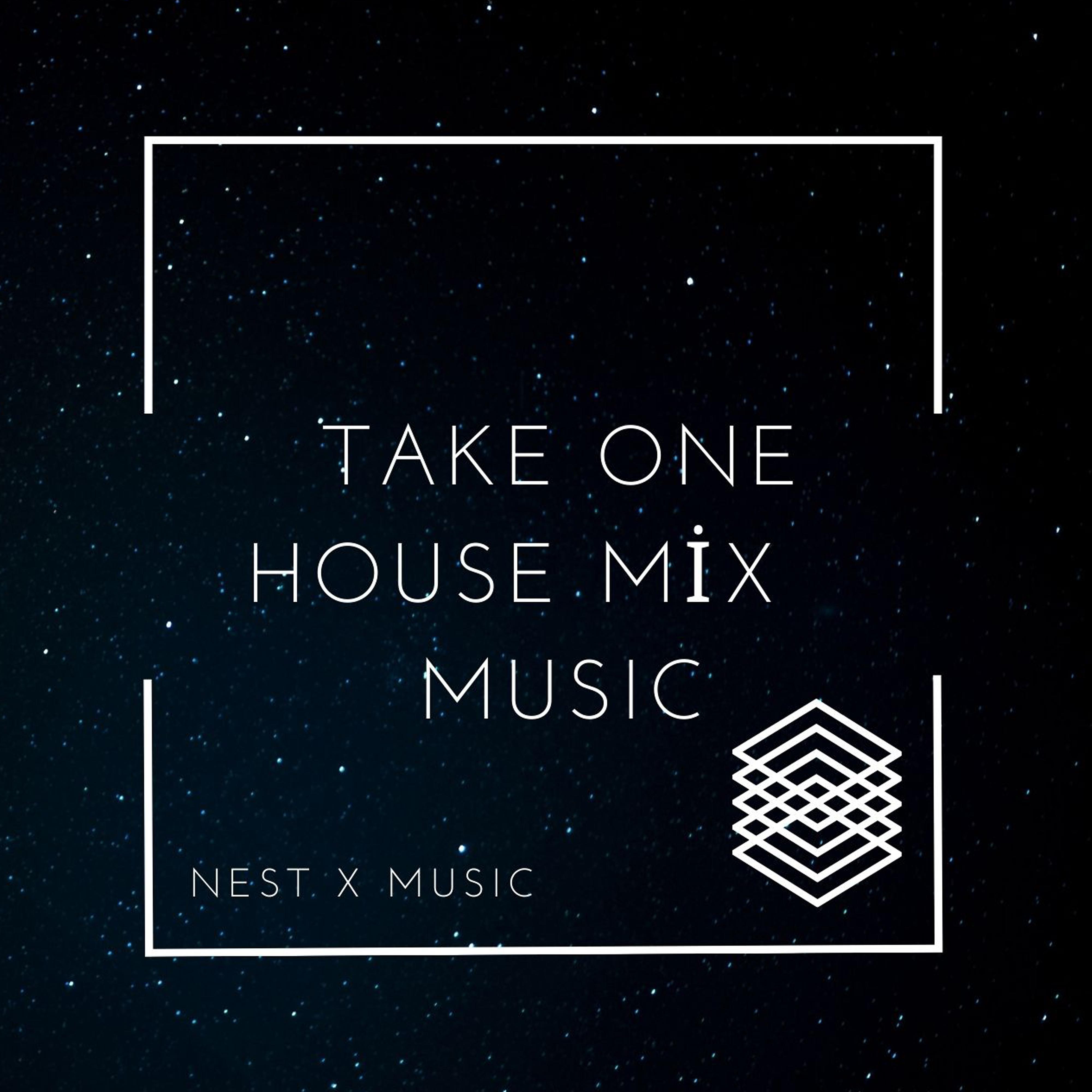 Постер альбома Take One (House Mix Musıc)