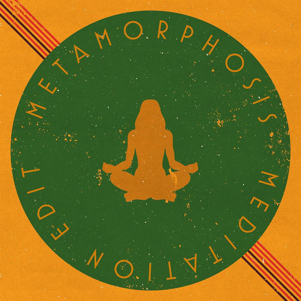 Постер альбома Metamorphosis (Meditation Edit)