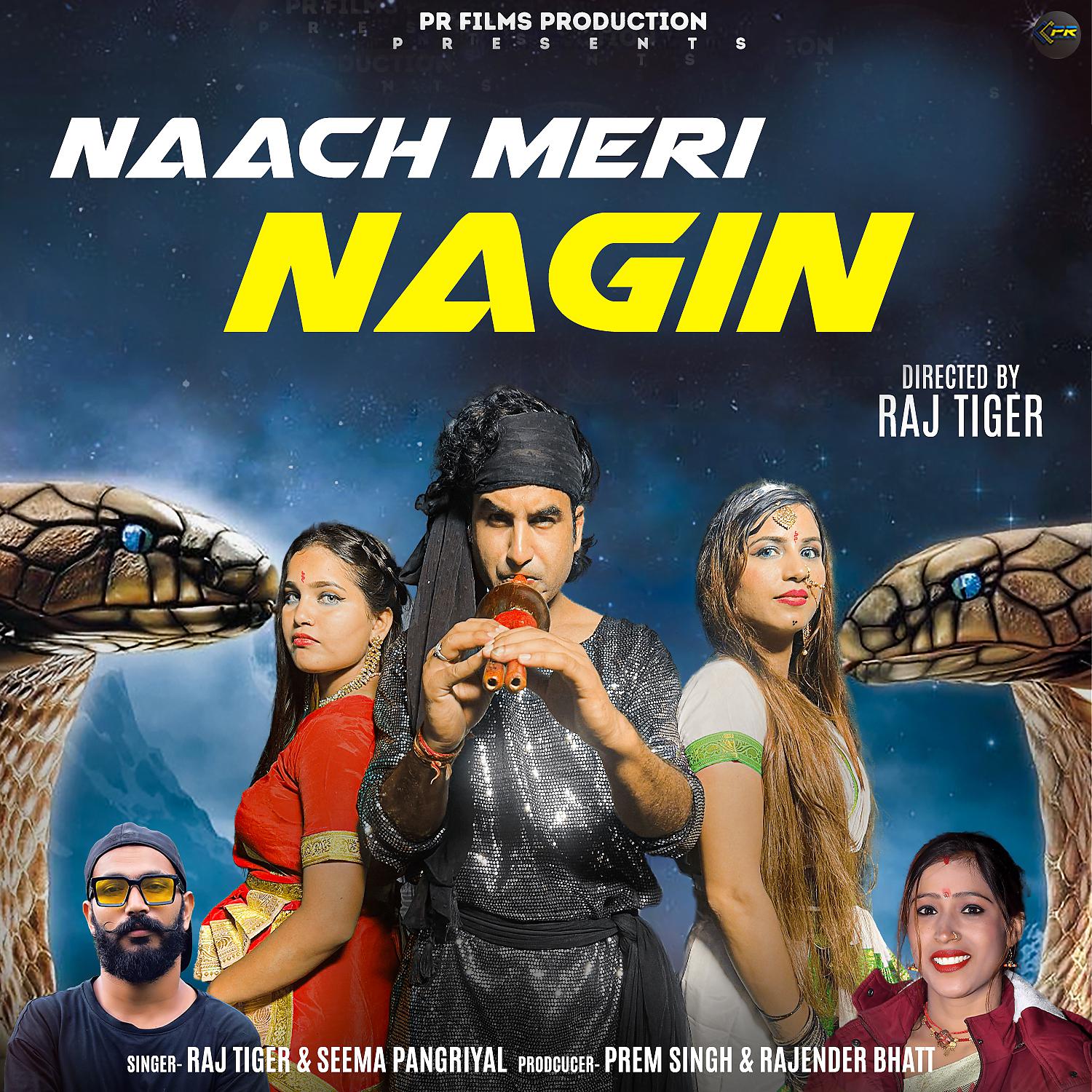 Постер альбома Naach Meri Nagin