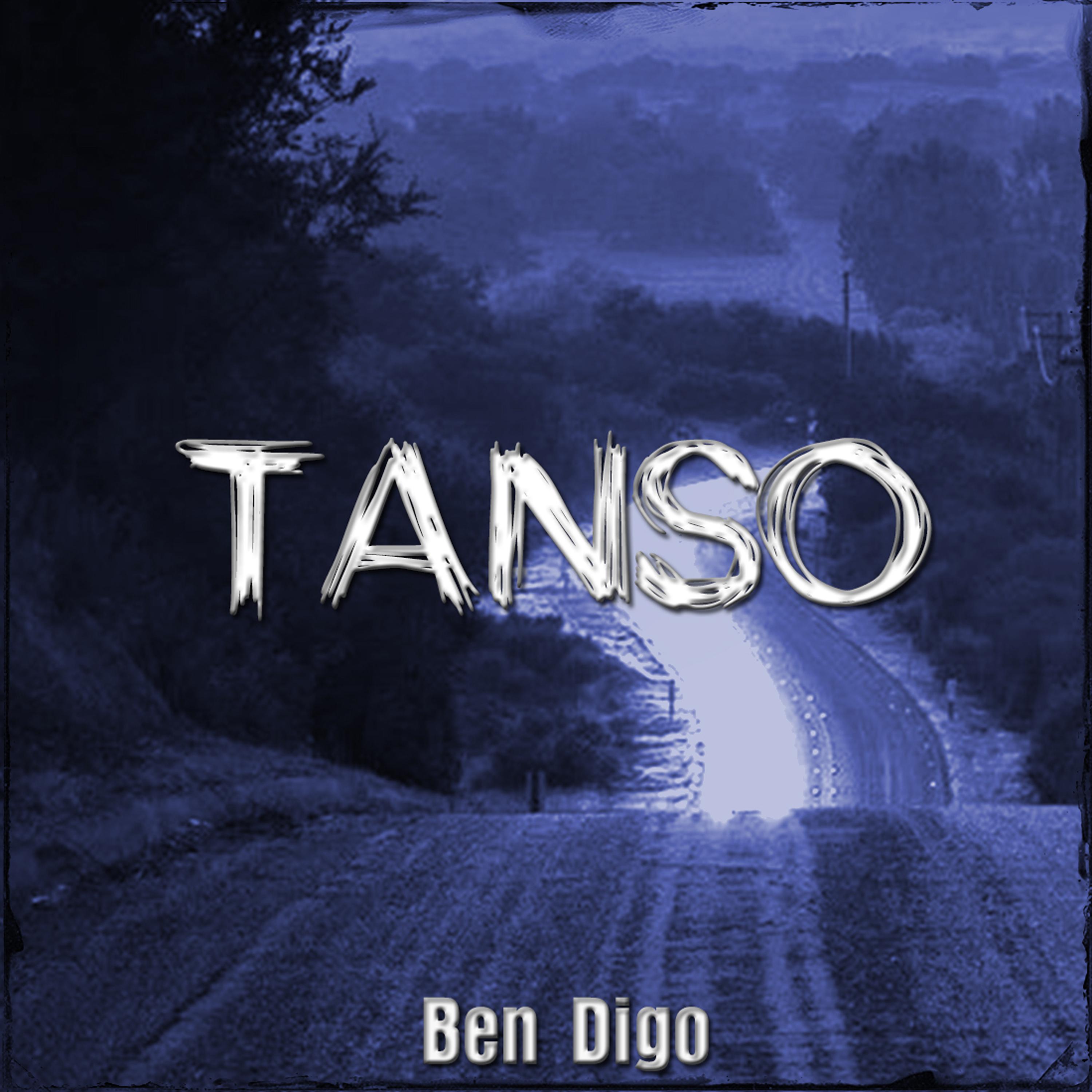 Постер альбома Tanso