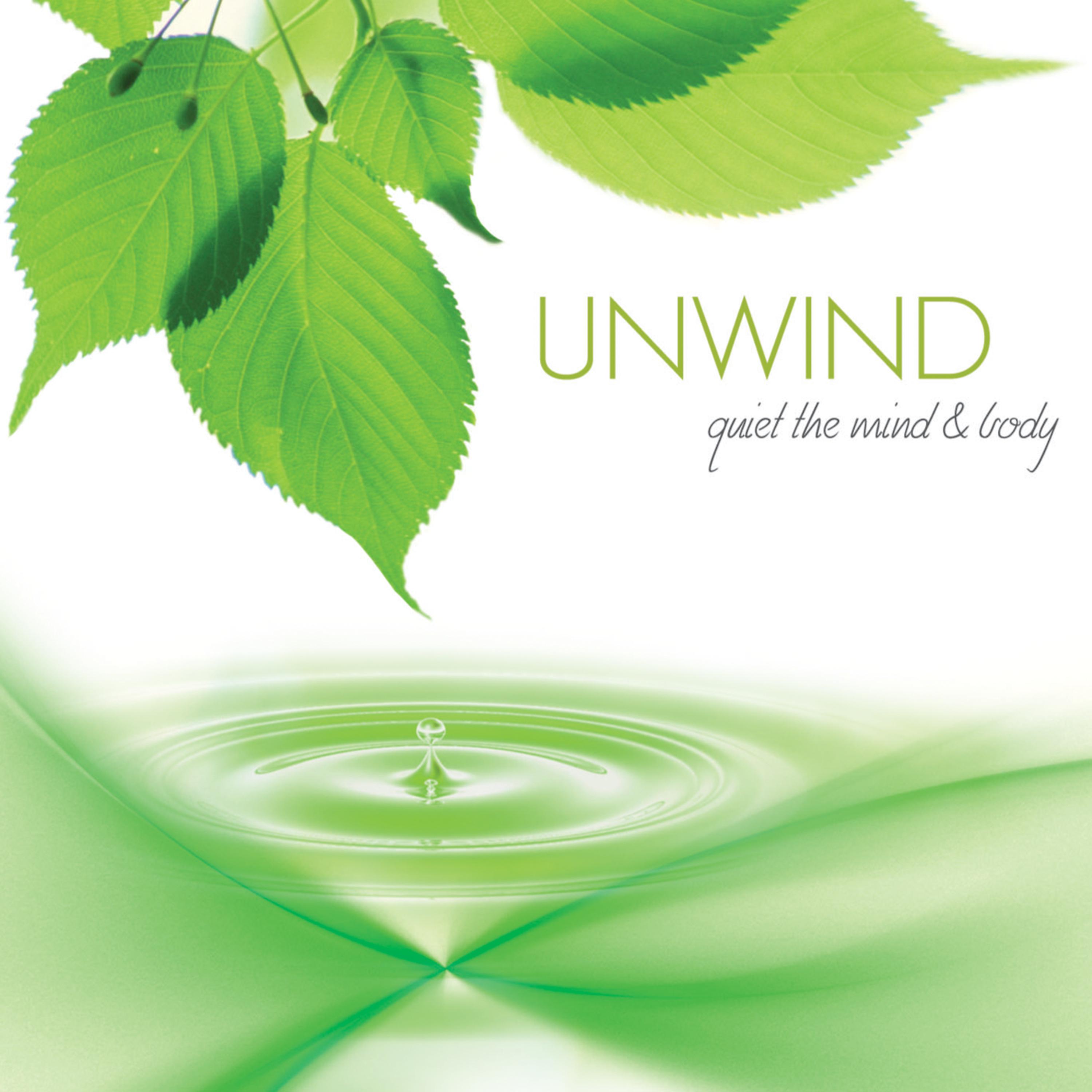 Постер альбома Unwind: Quiet the Mind & Body